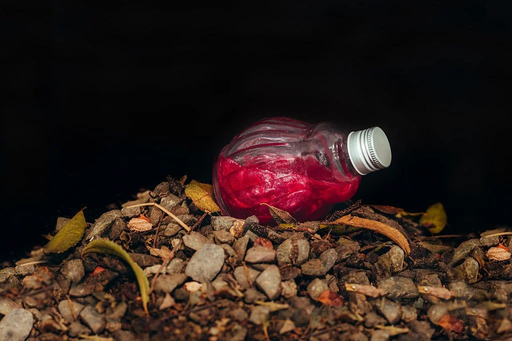 gastronomia_54270717575_l.jpg