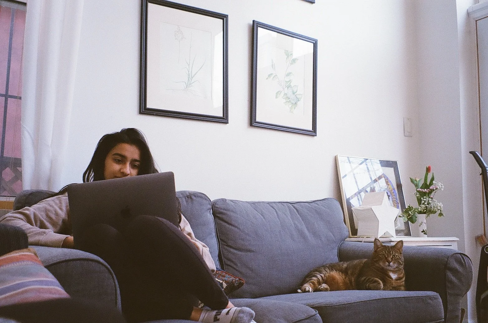 A woman sitting on a blue sofa with a laptop, while a tabby cat lies on the sofa nearby, in a living room with artwork on the wall and a side table with a flower arrangement.