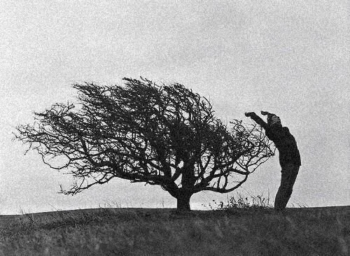 Silhouette of a leafless tree and a bent person on a hilltop, black and white photo.