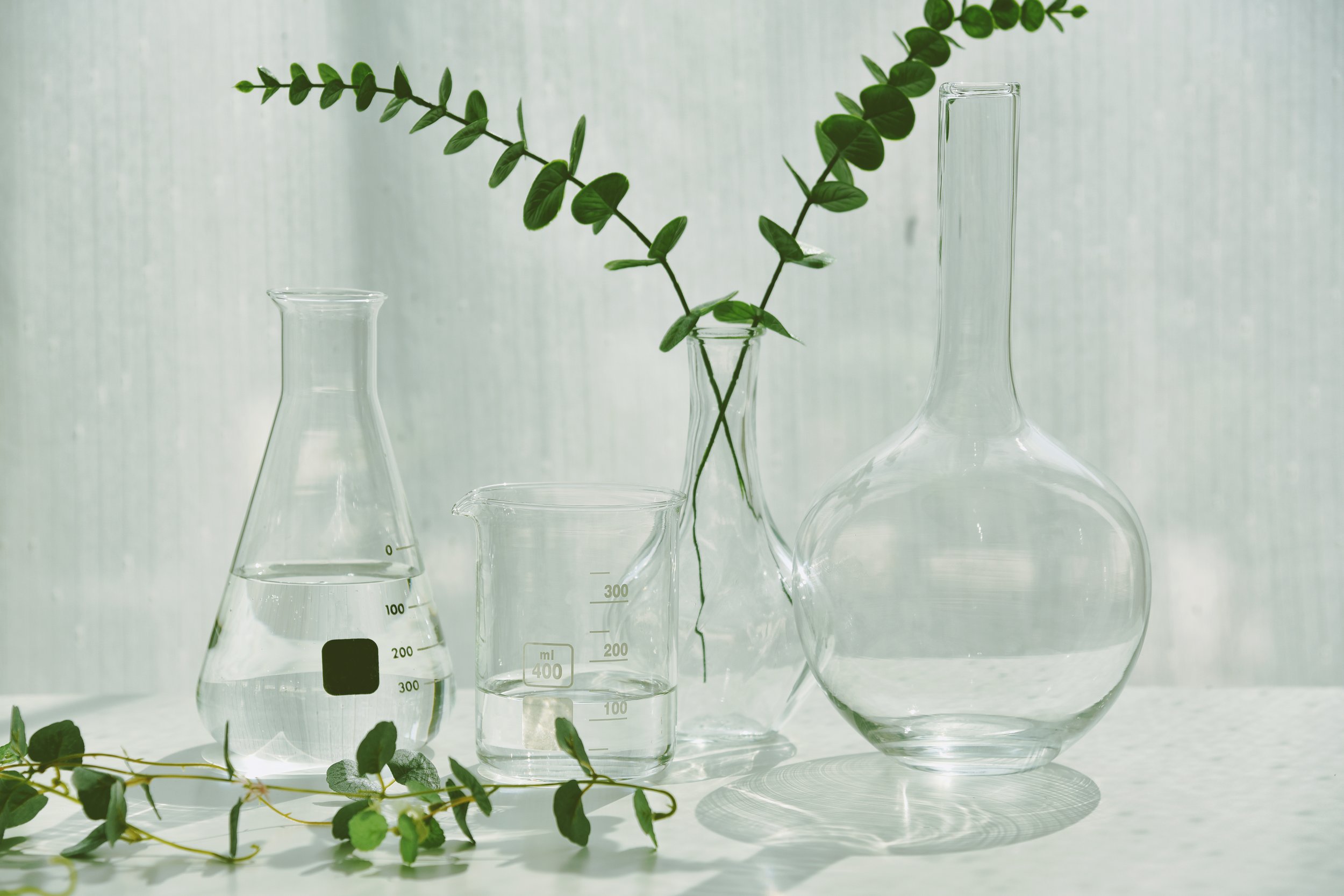 Four clear glass laboratory bottles, two with liquid, arranged with green leafy plant stems, on a white surface with a light background and shadows.