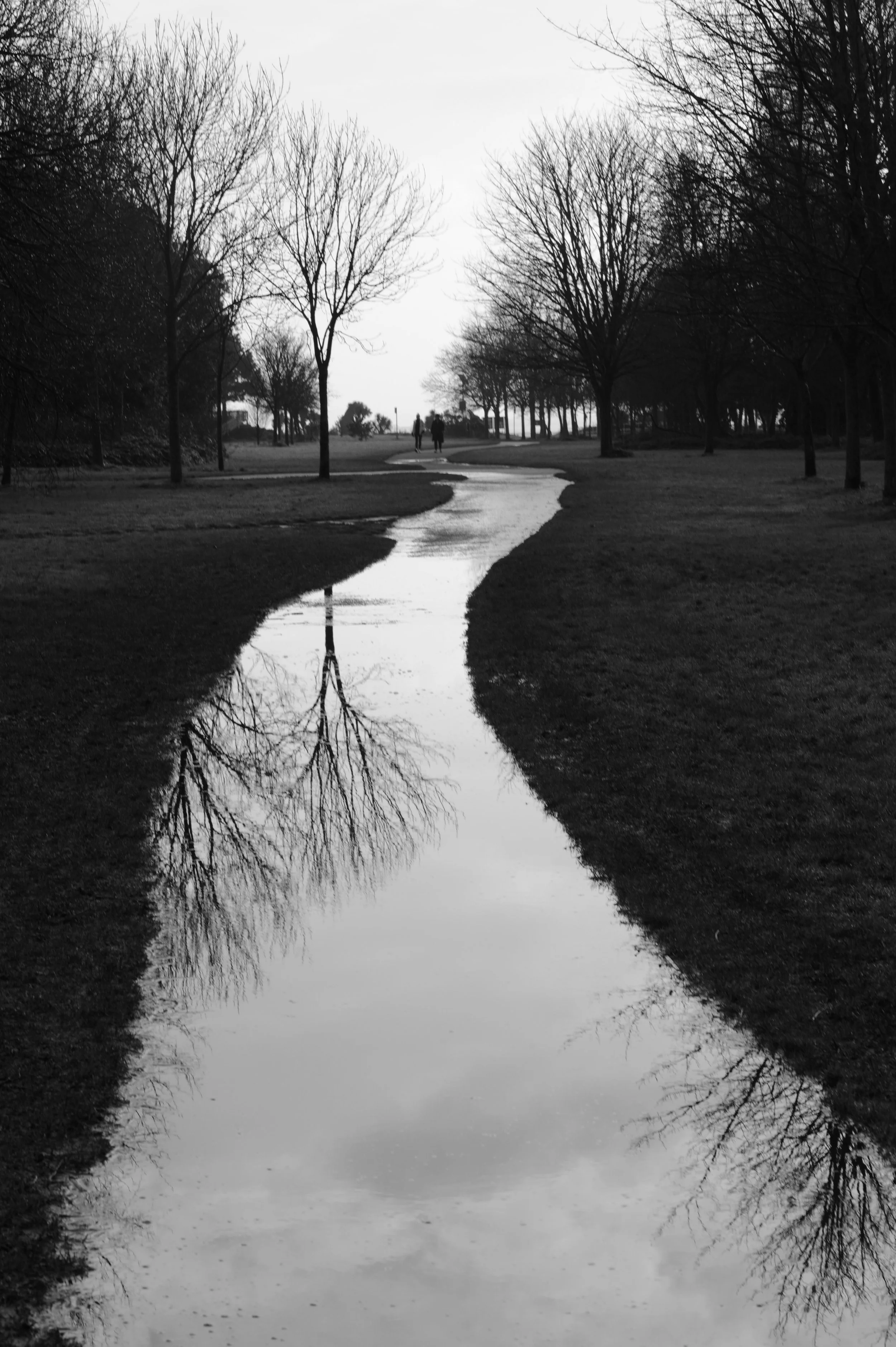 DSC_7828.jpeg
