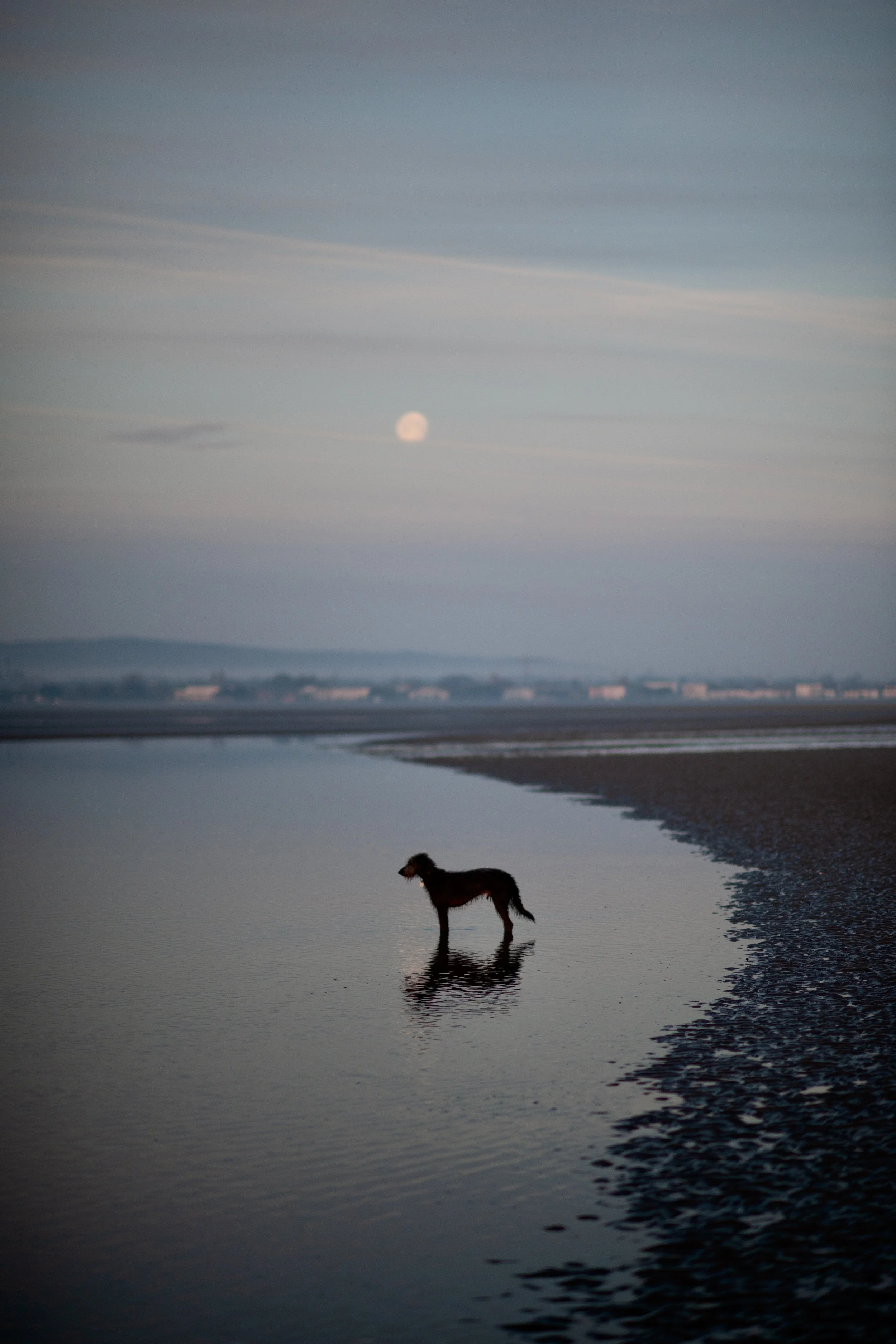 Revised Images from First Proof (1).jpeg