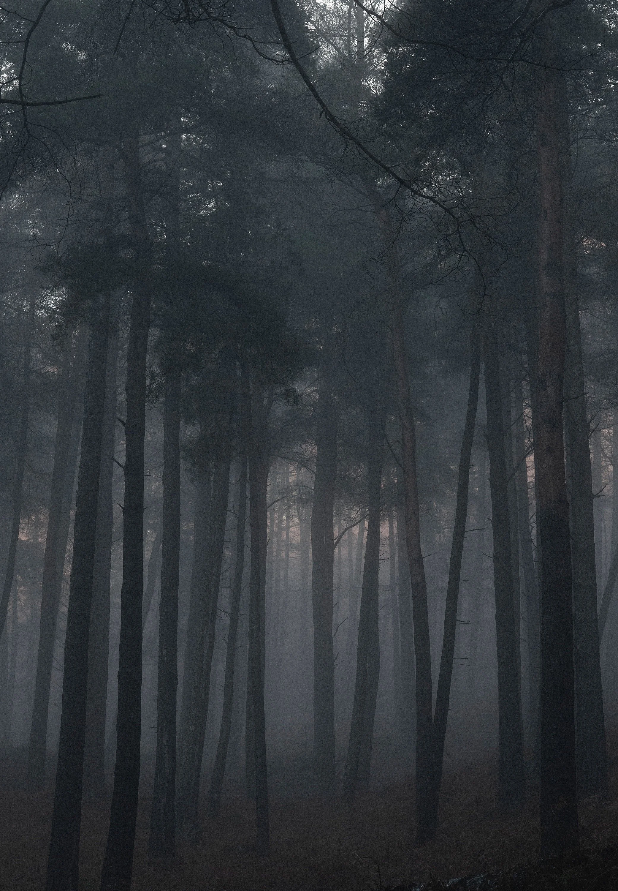 Otis Diptych Left.jpeg