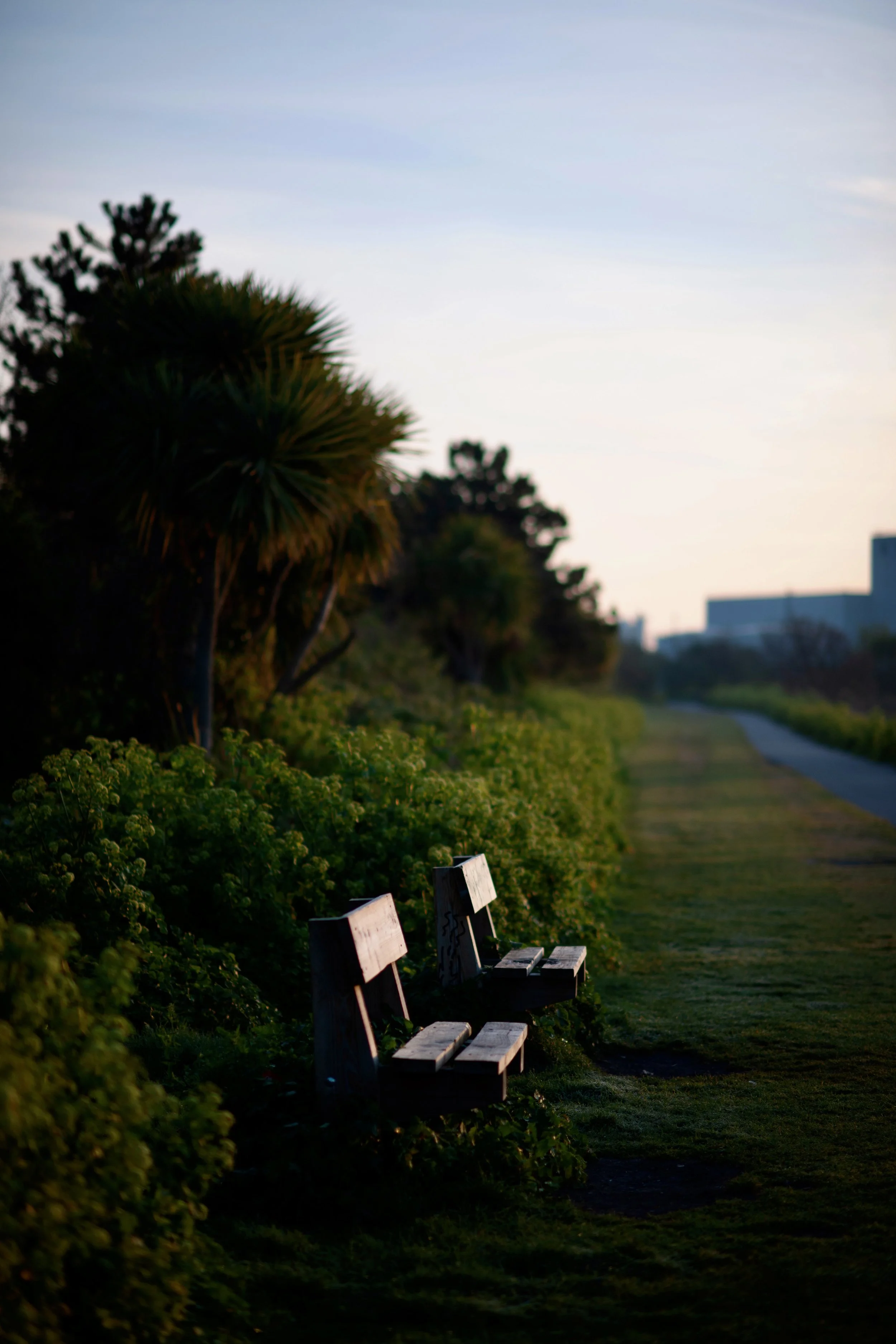 Revised Images from First Proof (2).jpeg