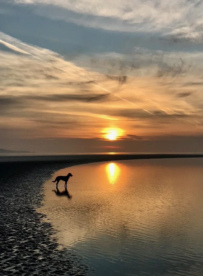 Revised Images from First Proof.jpeg