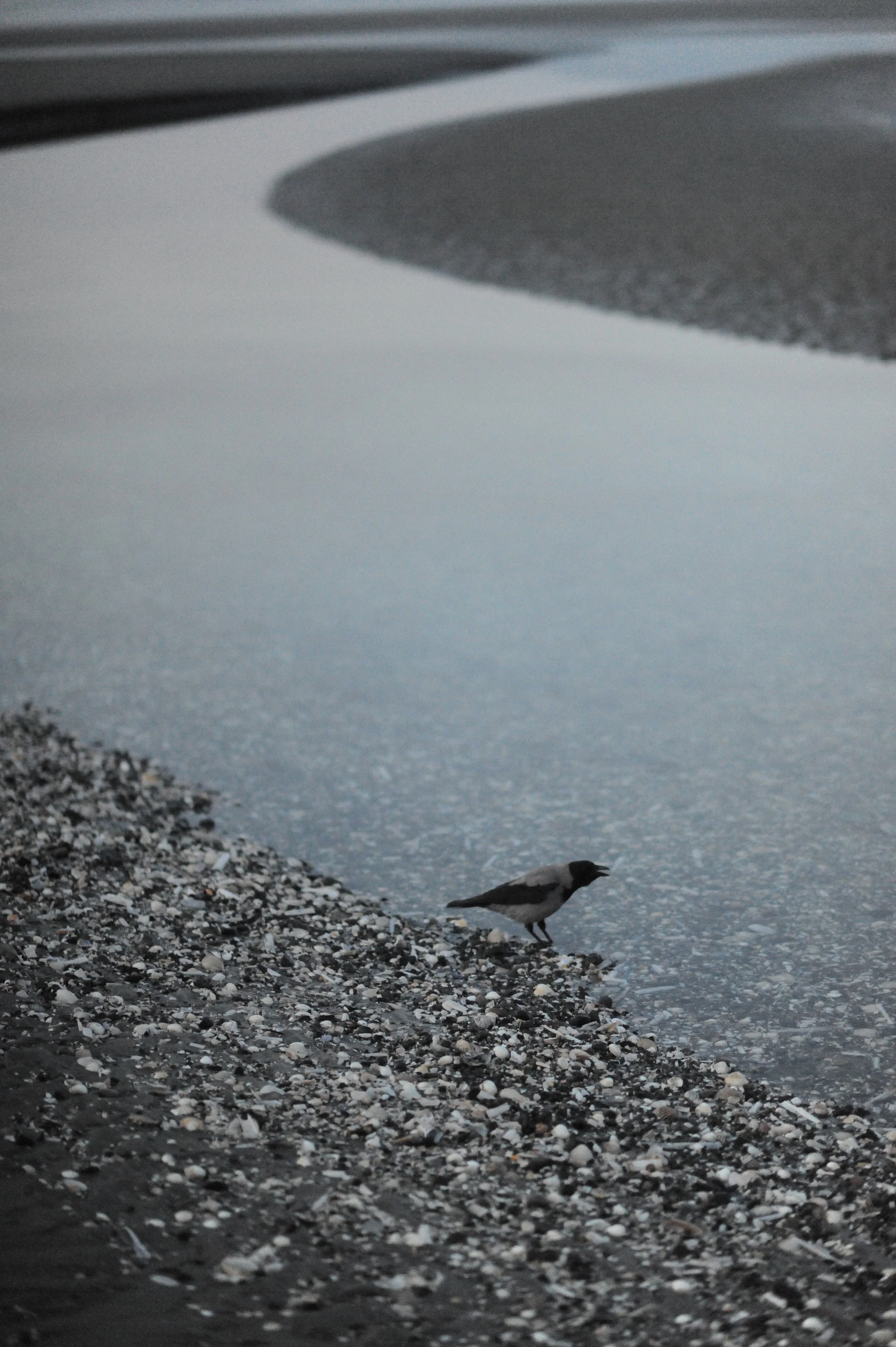 Oonagh selected (2).jpeg