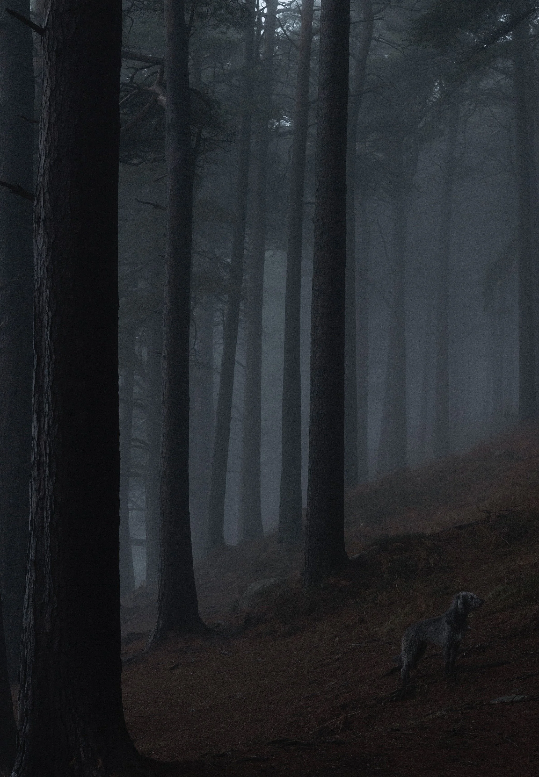 Otis Diptych Right.jpeg