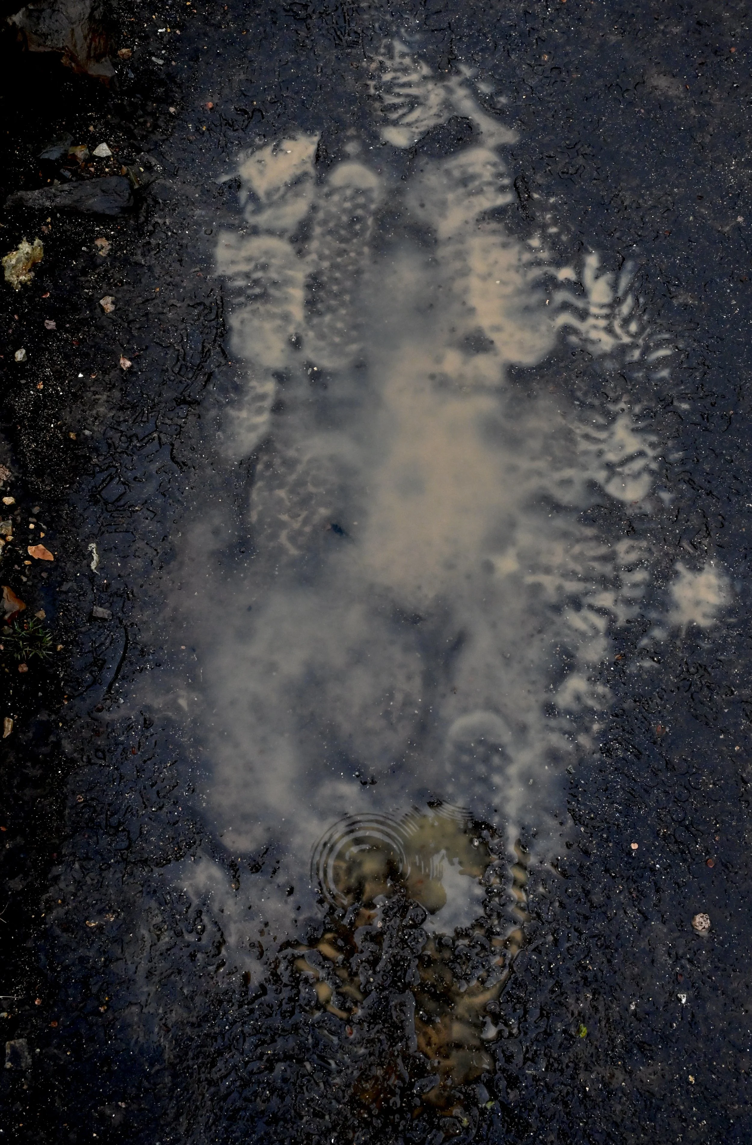 footsteps iceland.jpeg