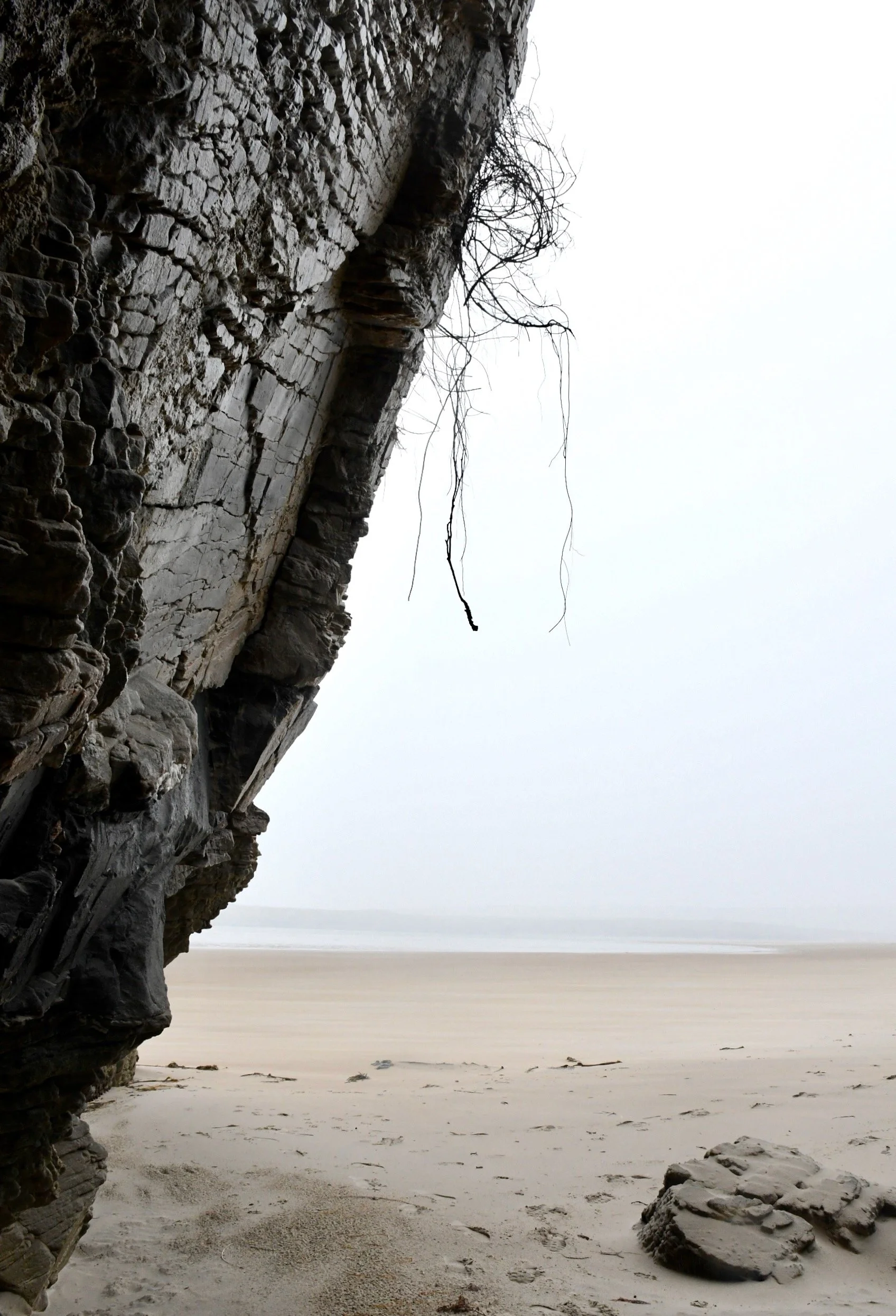 Letterkenny 2025.jpeg