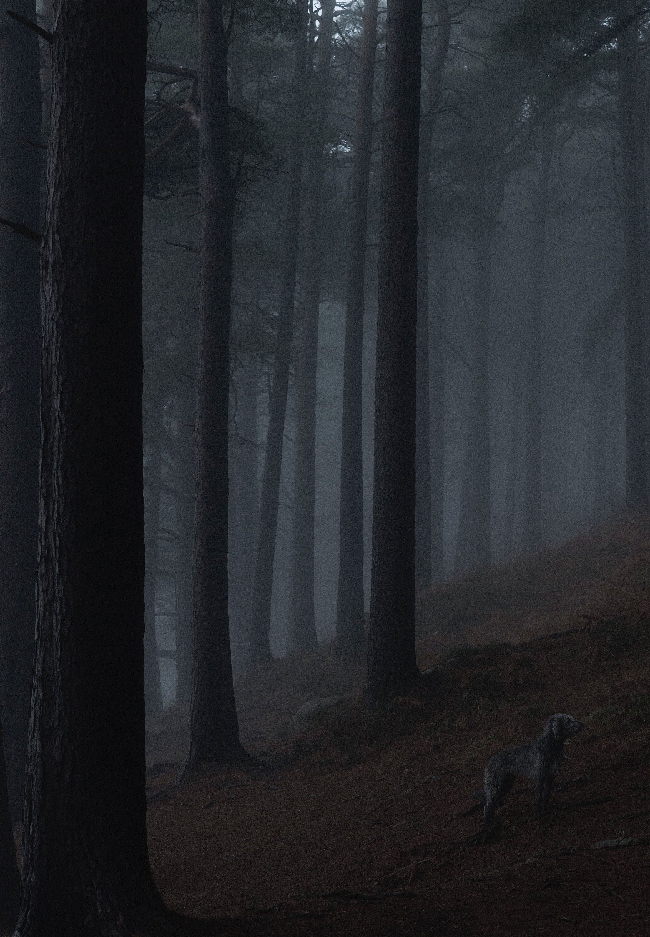 Otis Diptych Right.jpeg