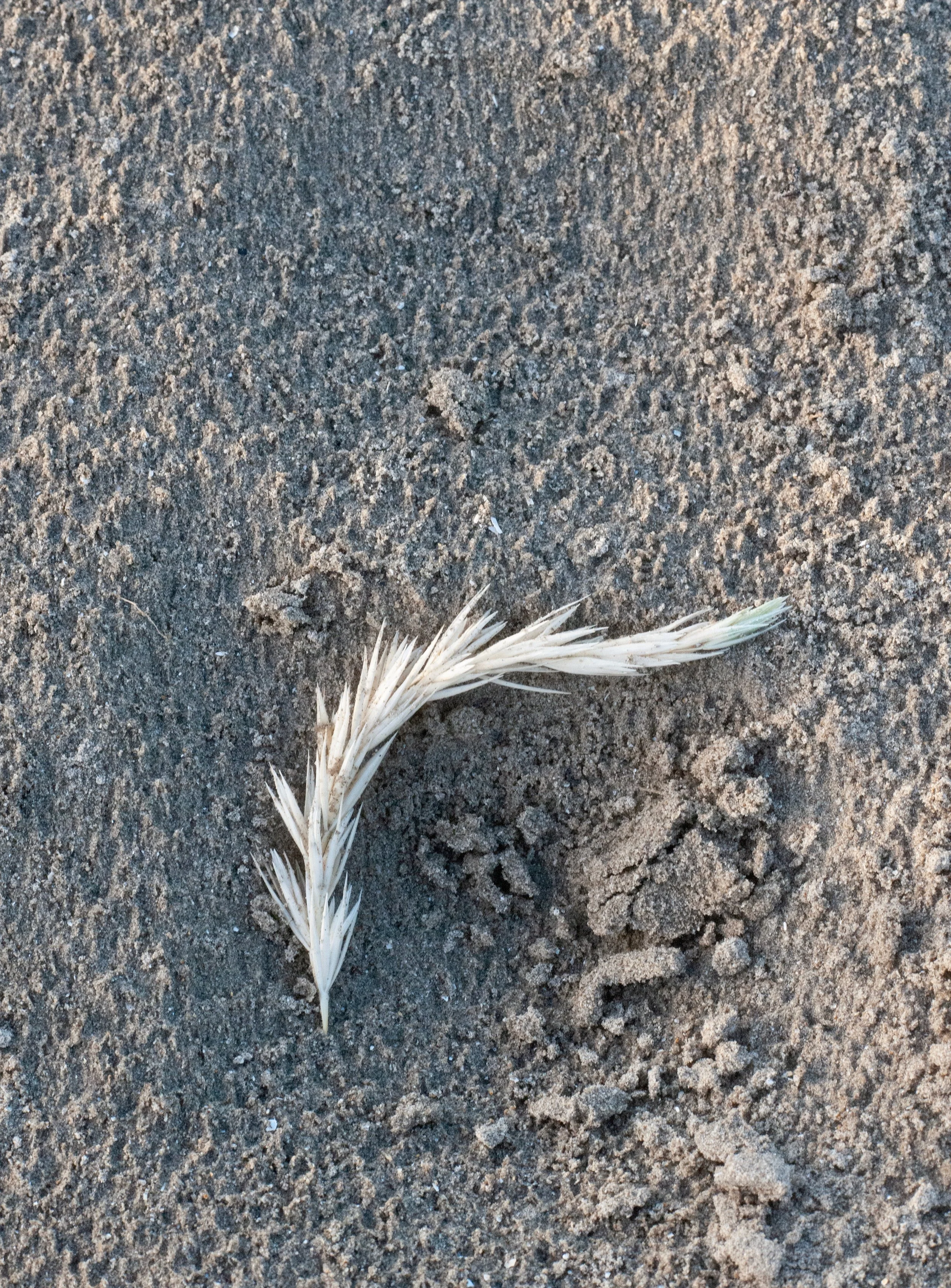 Revised Images from First Proof (5).jpeg