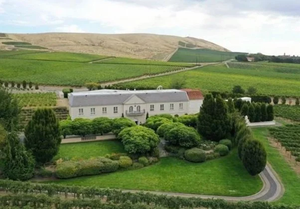 French chateau with surrounding vineyards