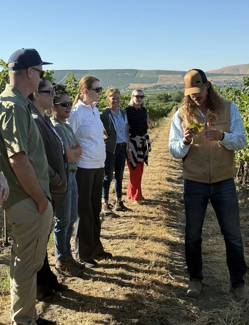 vineyard manager educating people in the vines