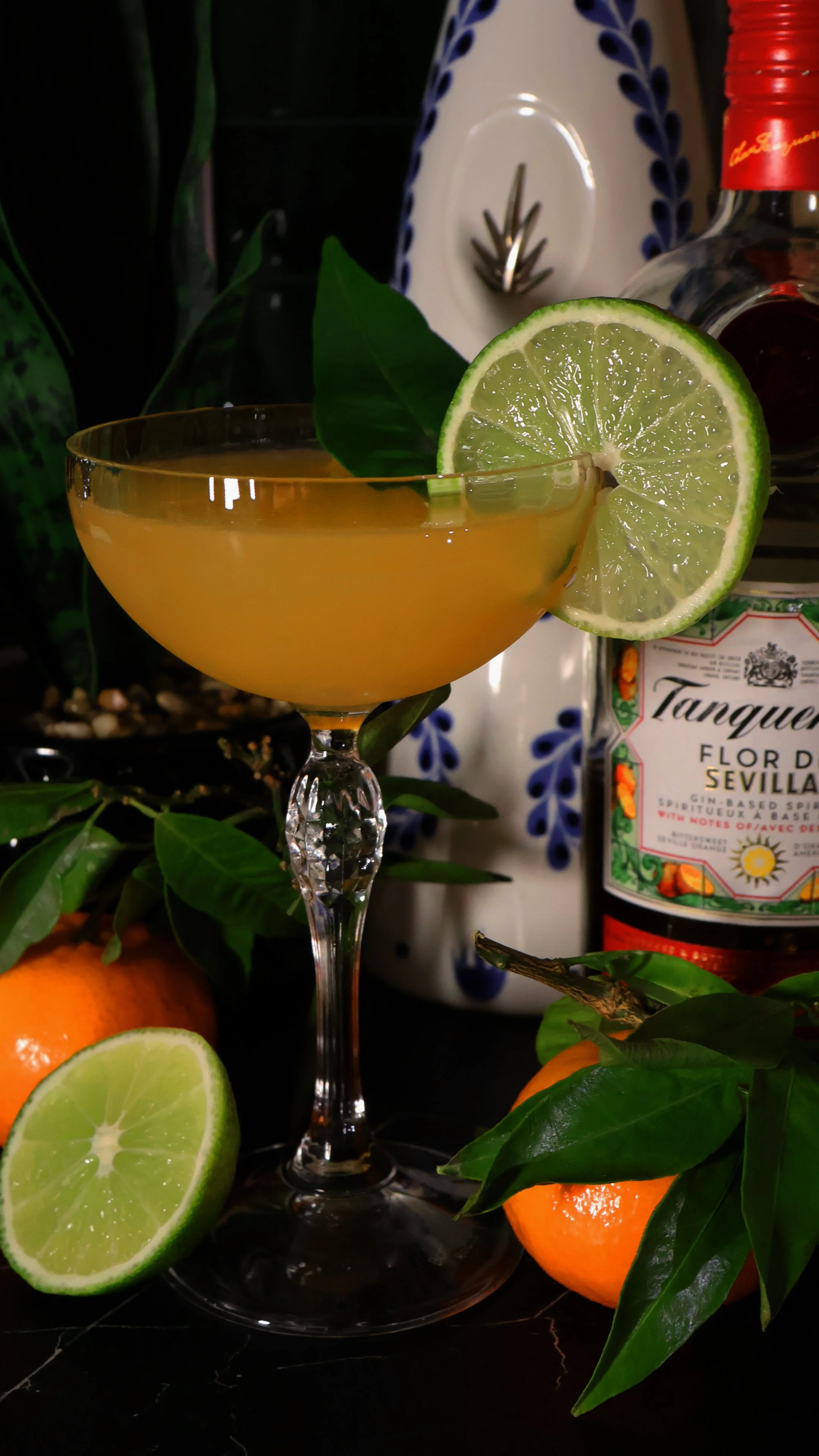 TANG cover final.jpg