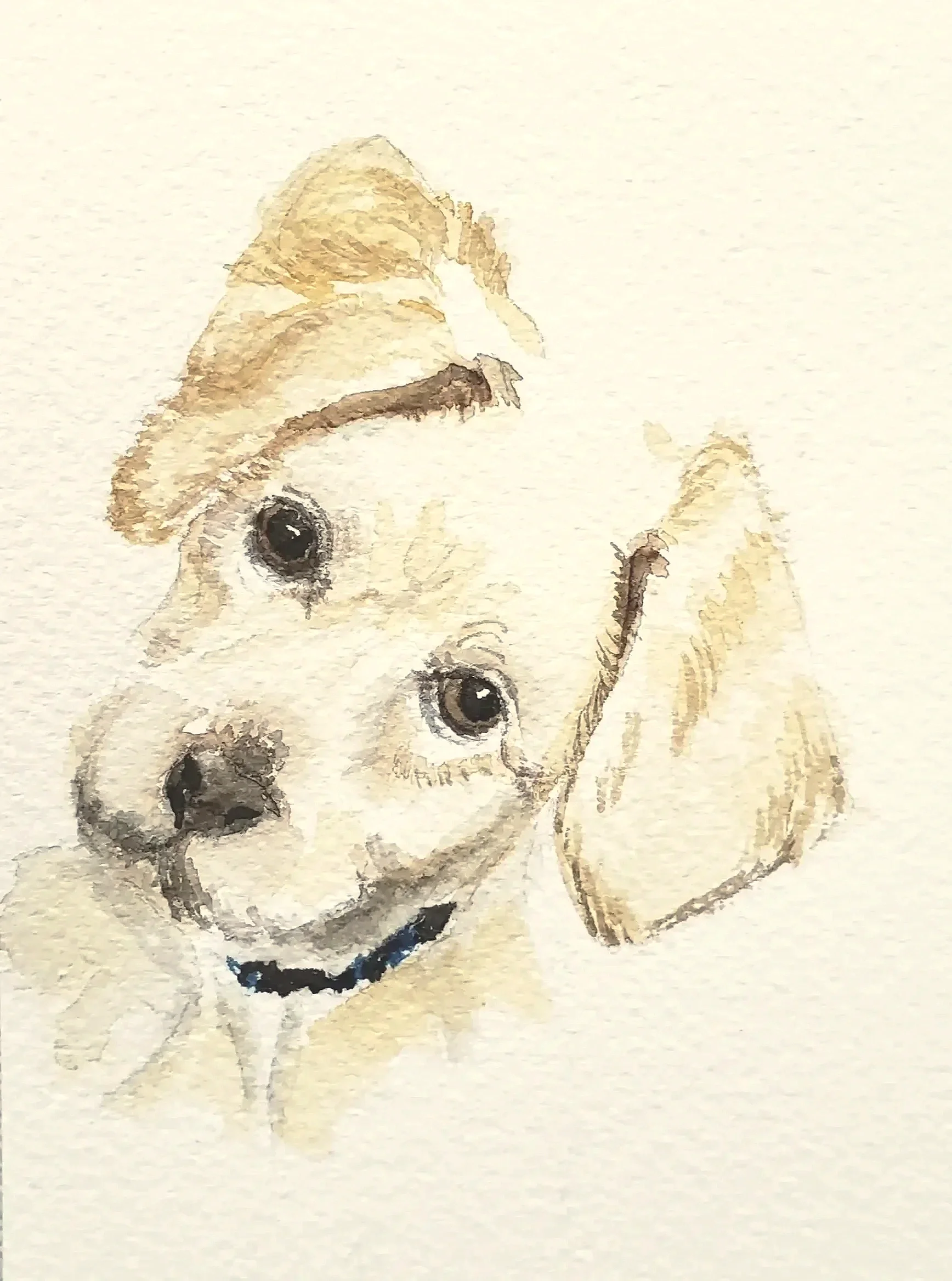 Watercolor Yellow Lab puppy