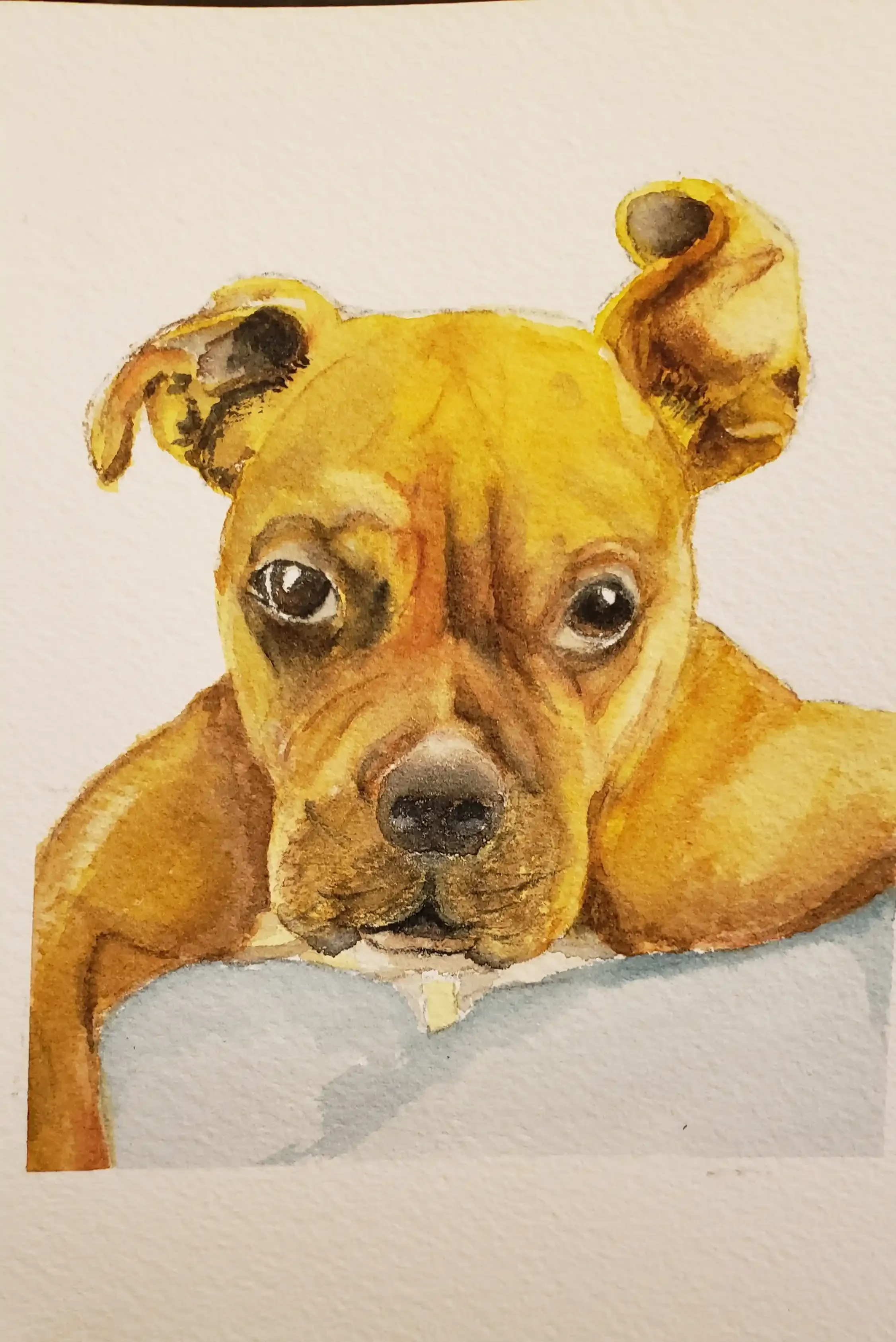 Watercolor Pet Portrait - Boxer