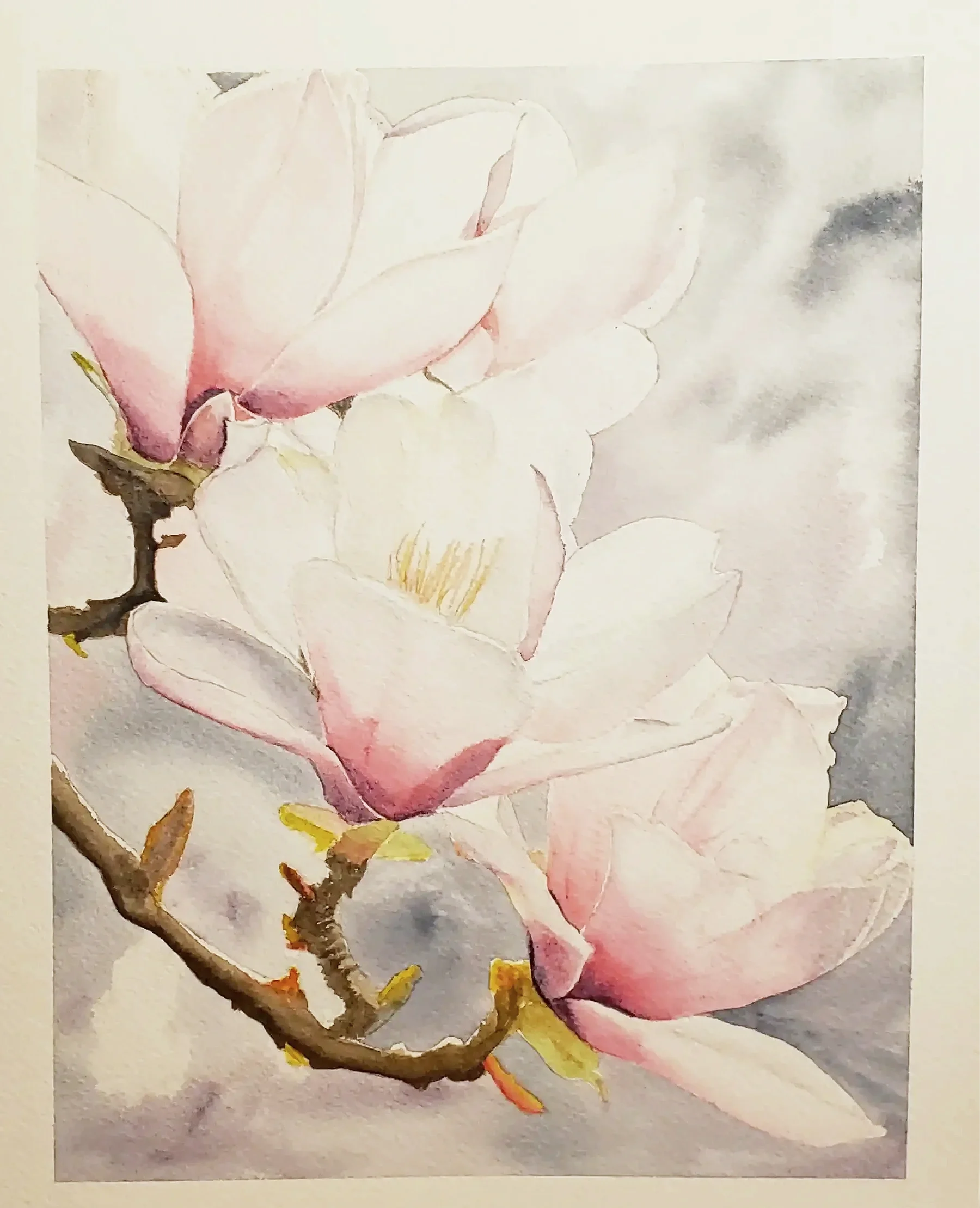 Watercolor Magnolia Blooms