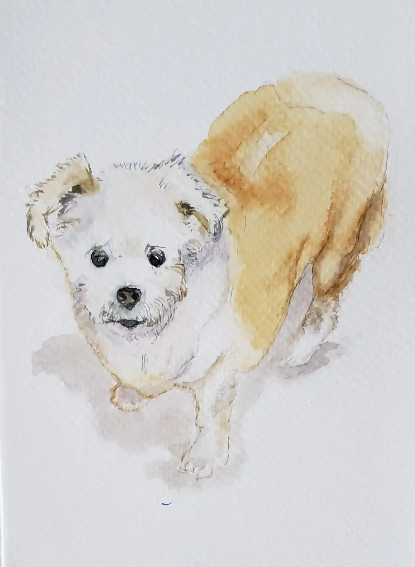 Watercolor Pet Portrait - Terrier