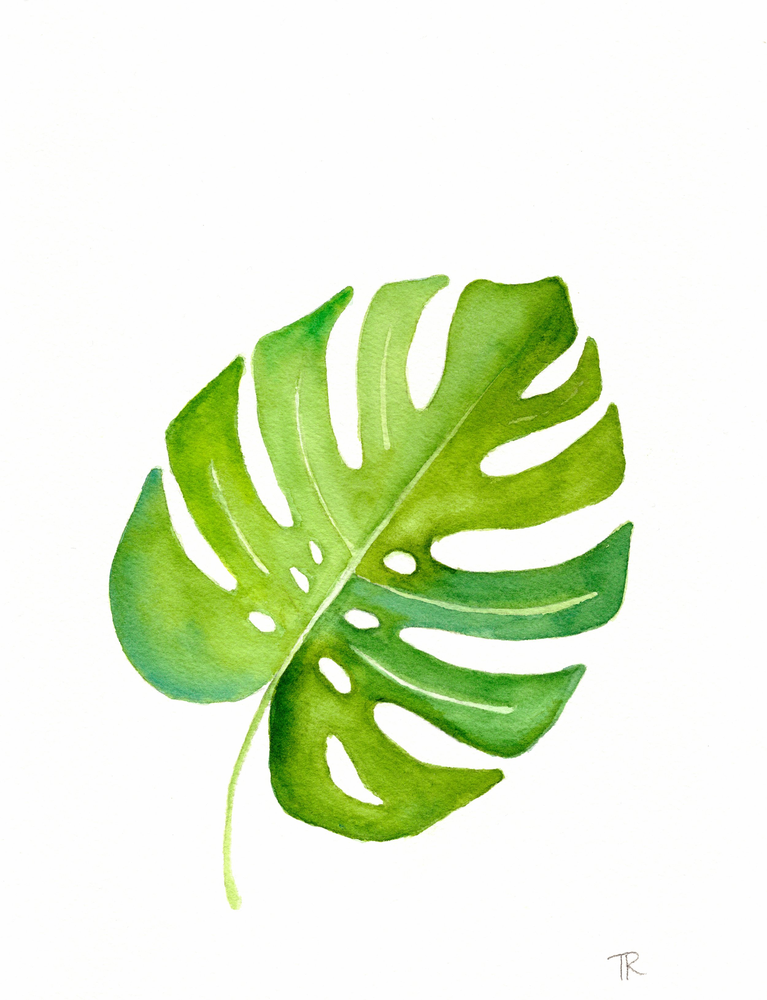 Watercolor-Monstera-Scan.jpg