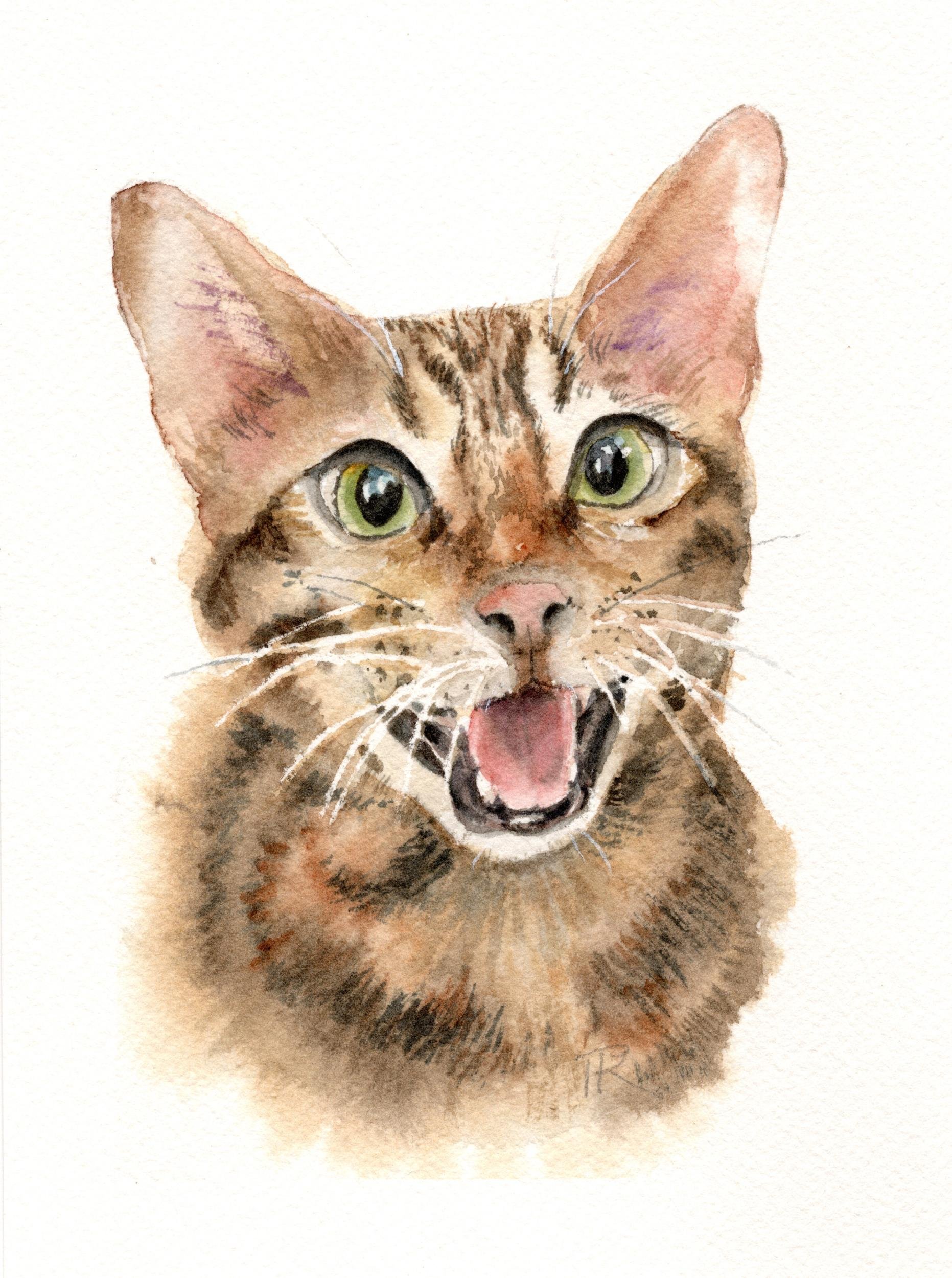 Watercolor portrait of a brown tabby domestic shorthair cat