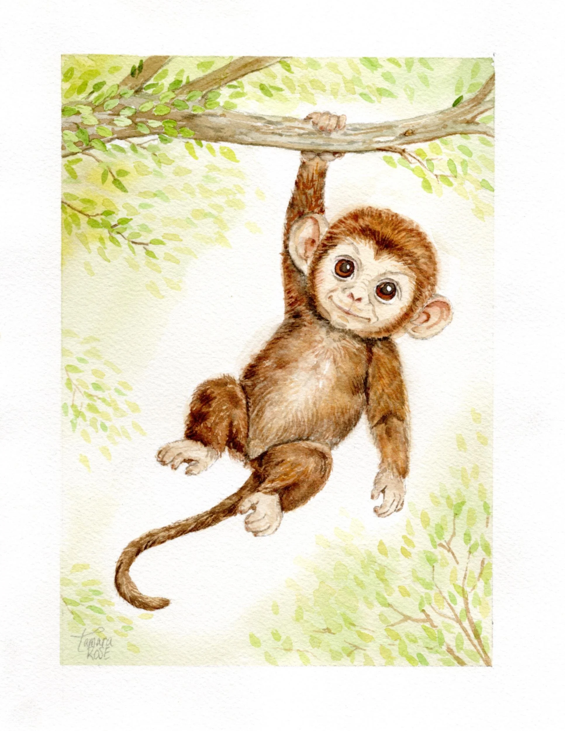 Watercolor-Safari-Baby-Monkey.jpg