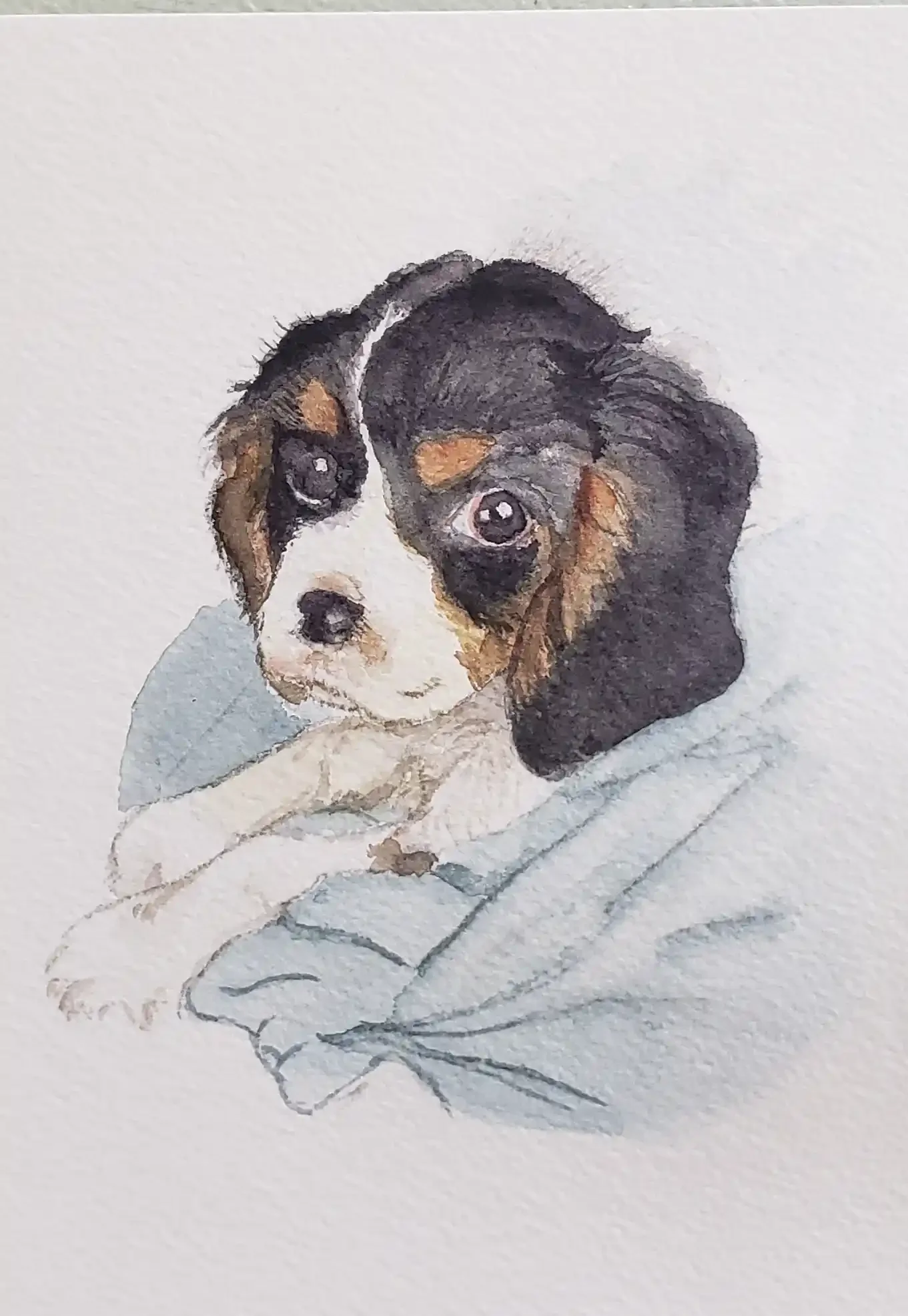 Watercolor painting of a cute puppy with black, white, and brown fur, lying on a blanket.