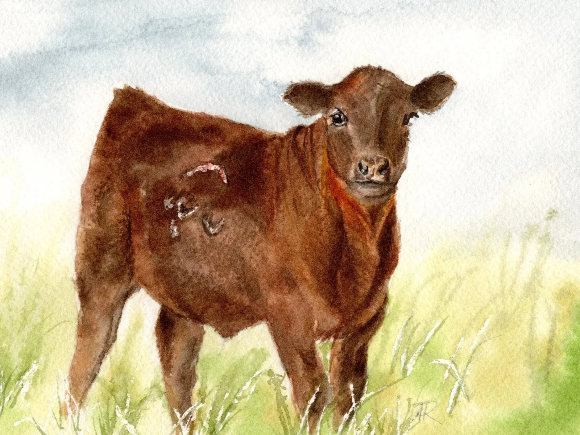 Watercolor painting of a reddish-brown cow standing in tall green grass, looking toward the viewer beneath a soft blue-gray sky.