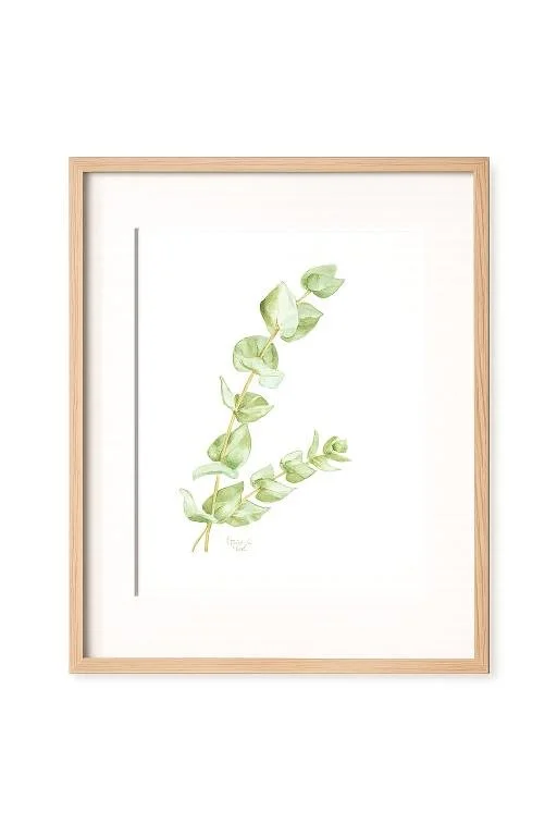 product-placement-eucalyptus-2.jpg