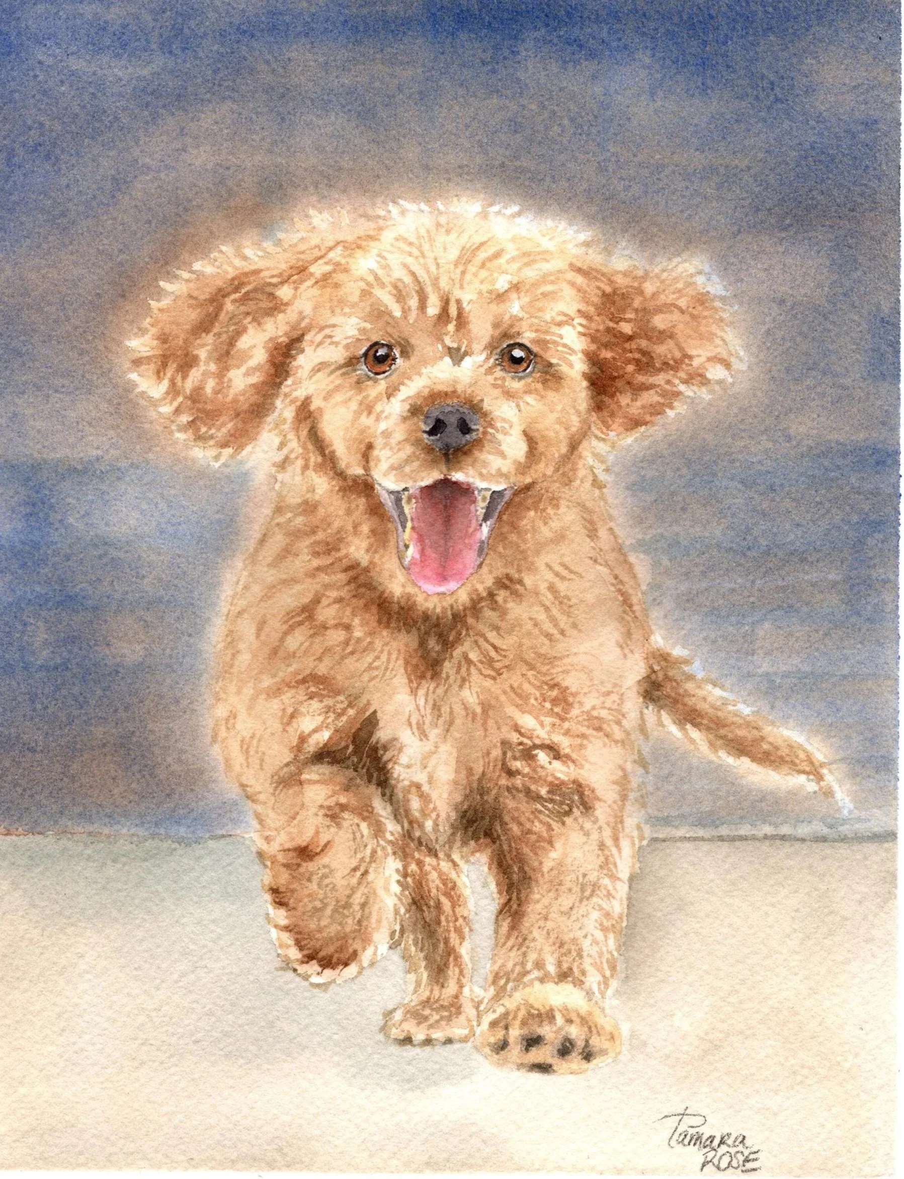Watercolor of a doodle puppy running towards the viewer; tongue out; smiling face.