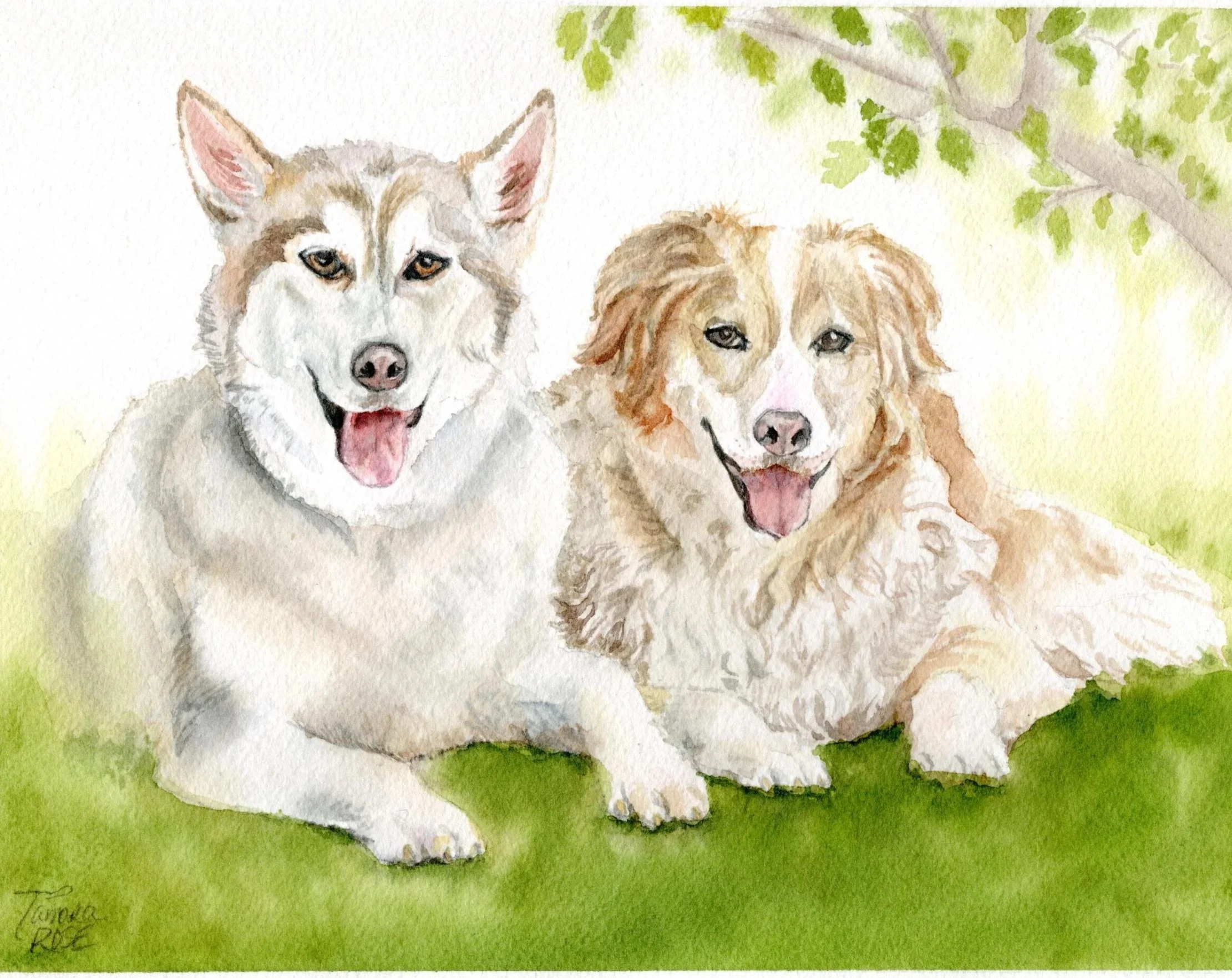 Watercolor of two dogs (Huskey & Springer Spaniel) lying in grass