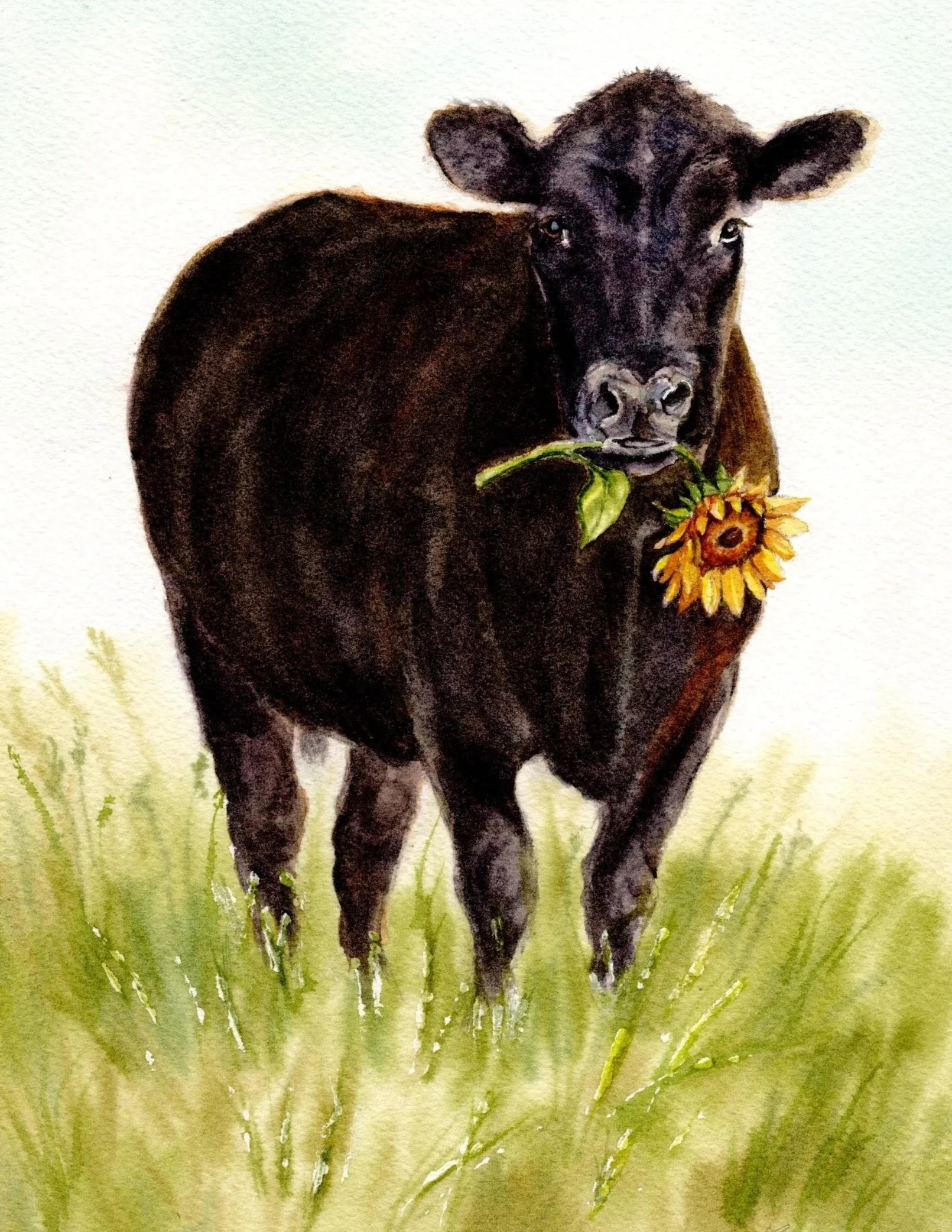 Watercolor painting of a black cow standing in soft green grass, facing forward with a yellow sunflower in its mouth.
