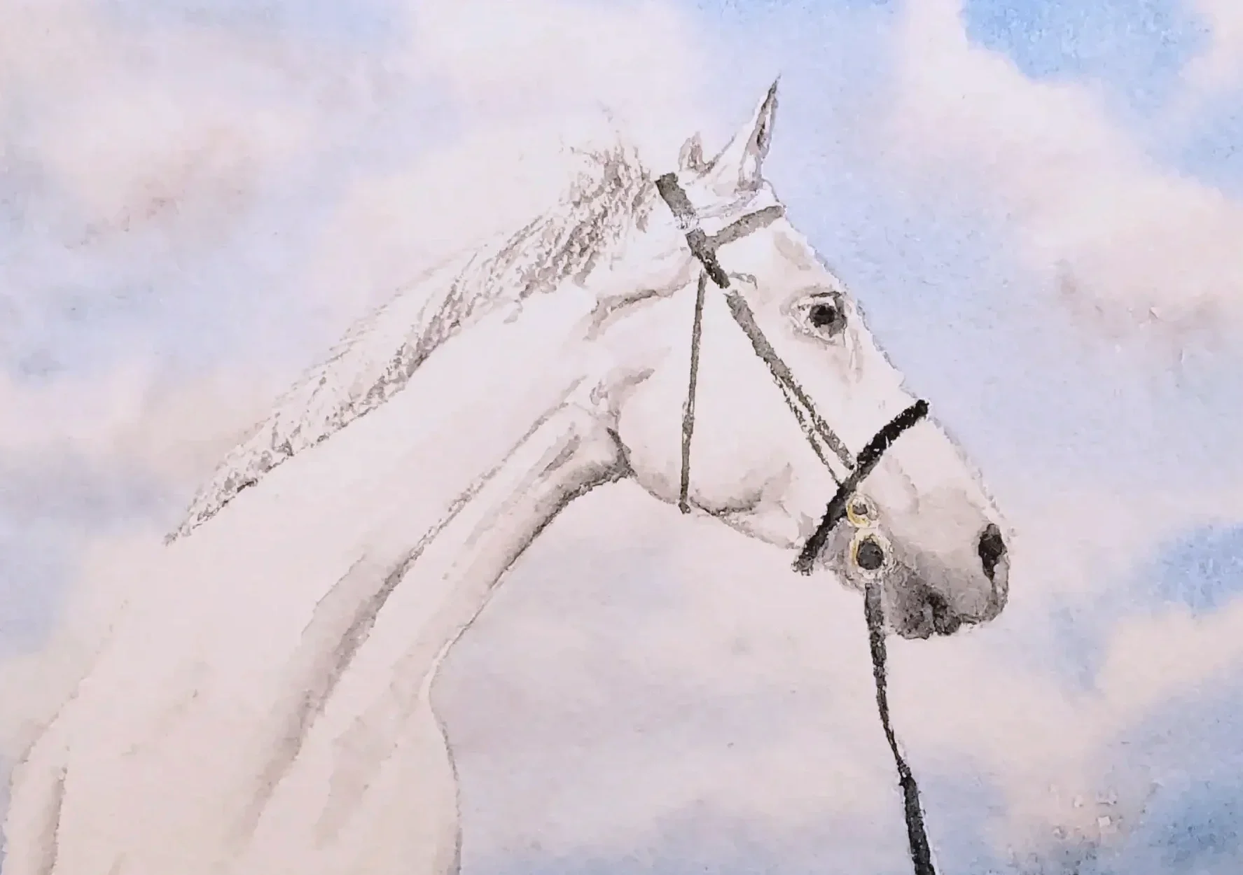 Painting of a white horse with a sky background.
