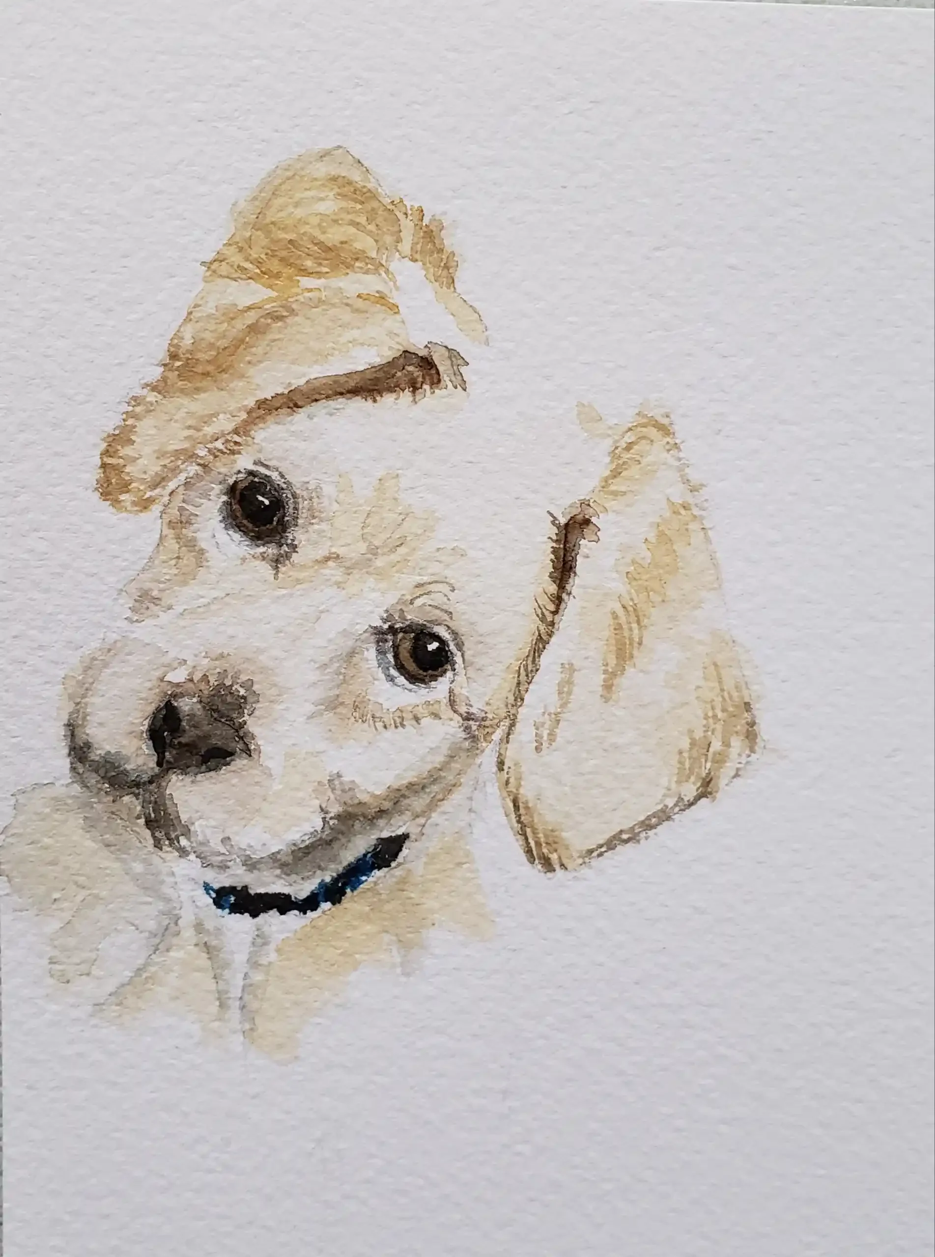 Watercolor Pet Portrait - Yellow Lab 