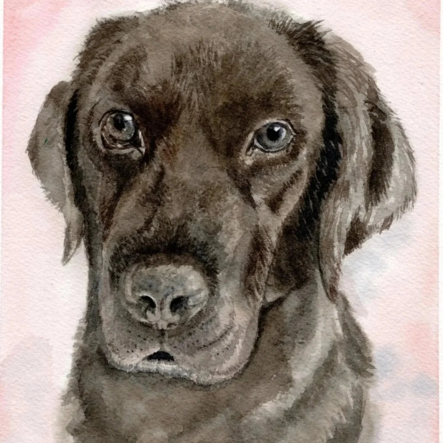 Watercolor painting of a black dog with blue eyes, looking directly at the viewer with a soft expression.
