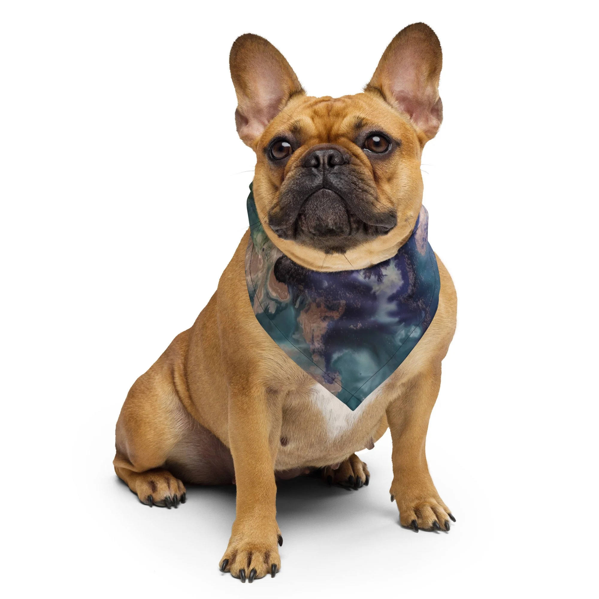 all-over-print-bandana-white-s-front-6ab8399999e6f.jpg