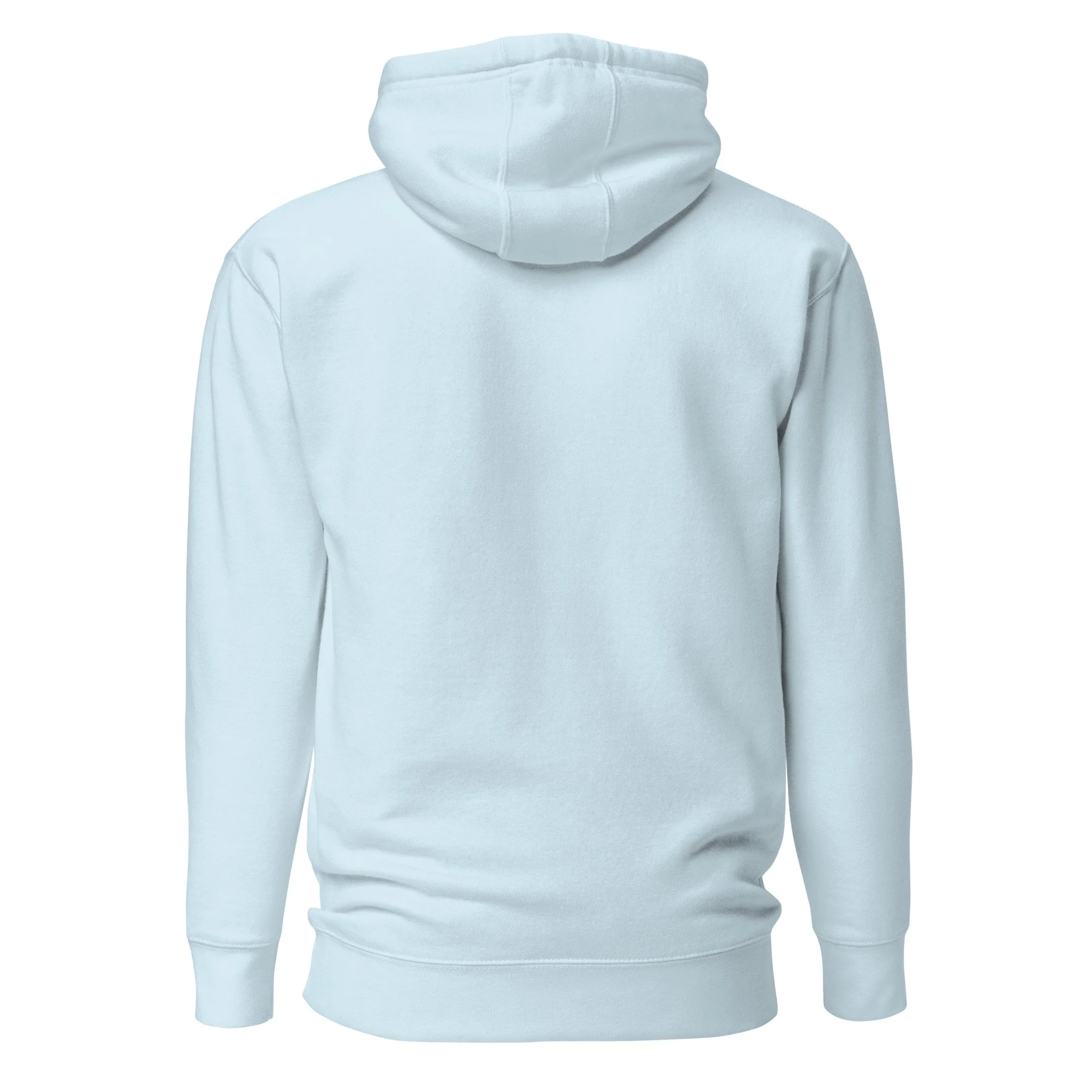 unisex-premium-pullover-hoodie-sky-blue-back-6ac1be77ad5a8.jpg