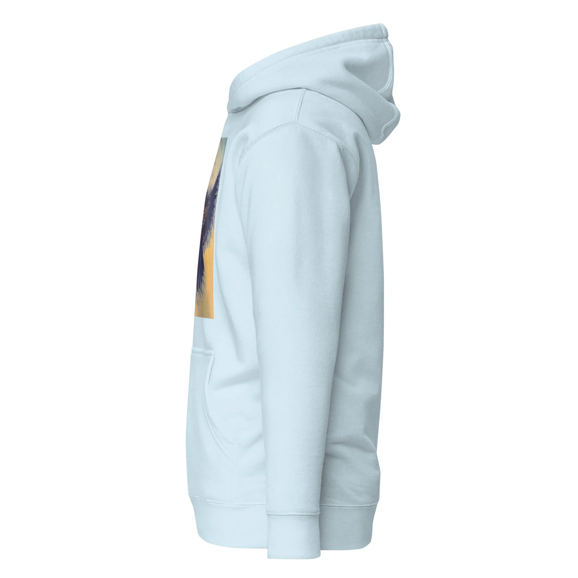 unisex-premium-pullover-hoodie-sky-blue-left-6ac1be77adc23.jpg