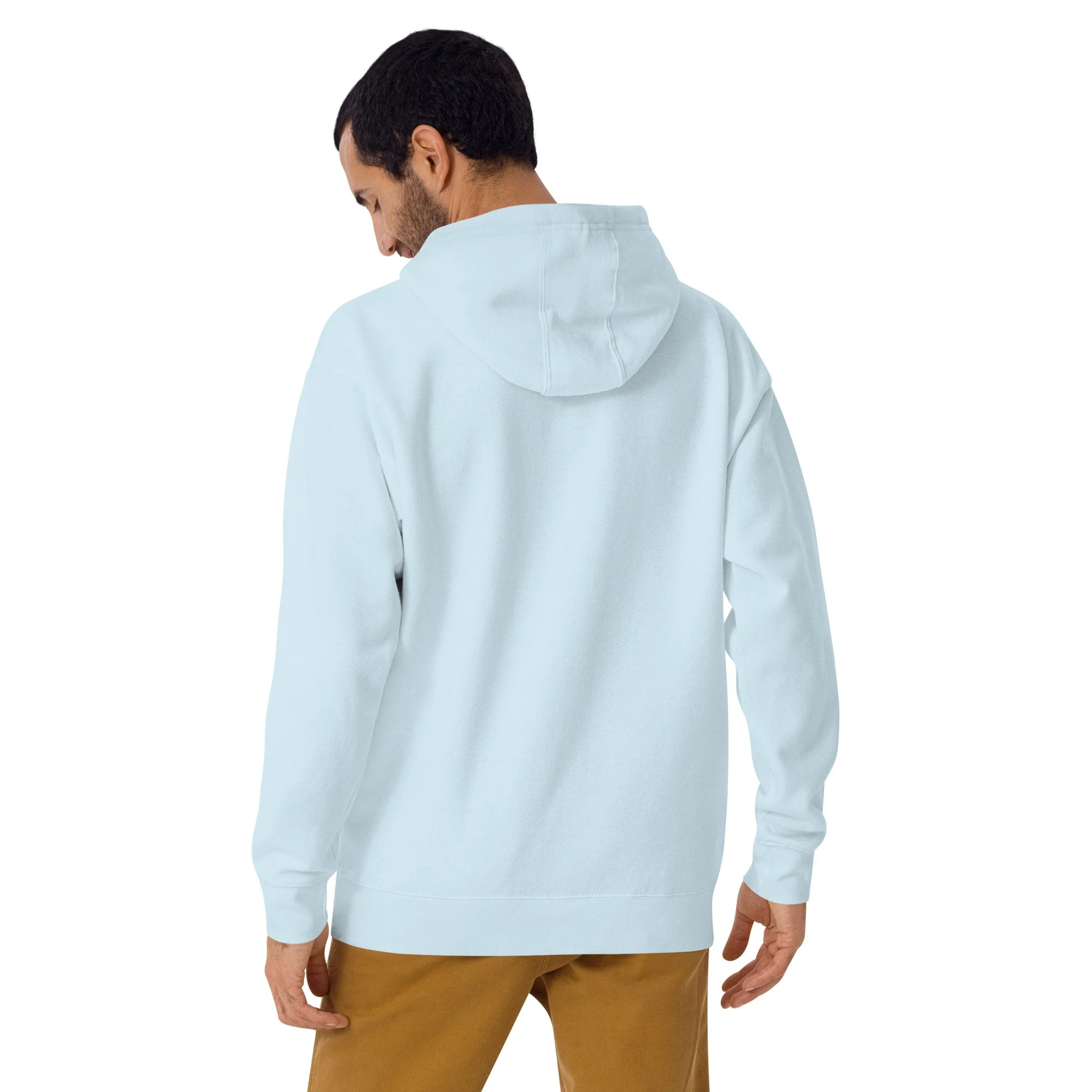 unisex-premium-pullover-hoodie-sky-blue-back-6ac1be77ac75c.jpg