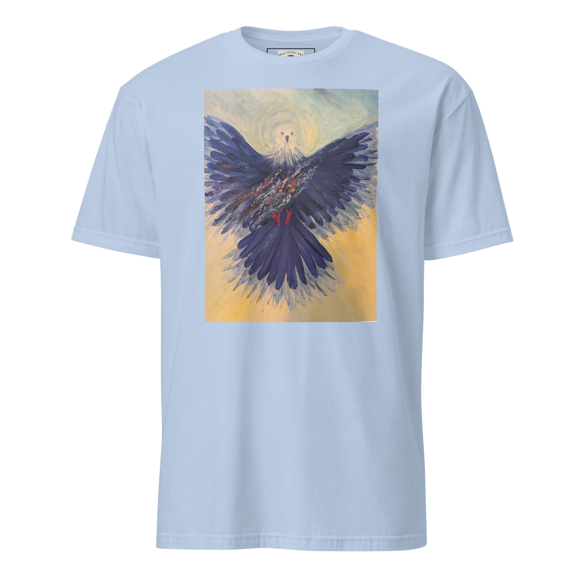 unisex-basic-softstyle-t-shirt-light-blue-front-6ac2b3345fe3e.jpg