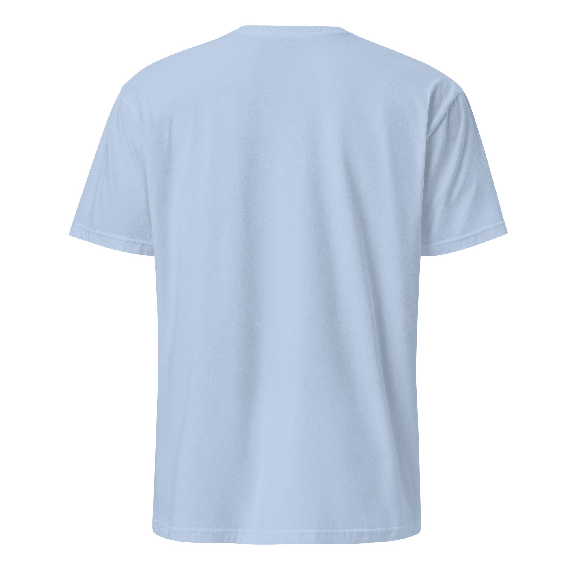unisex-basic-softstyle-t-shirt-light-blue-back-6ac2b334626ac.jpg
