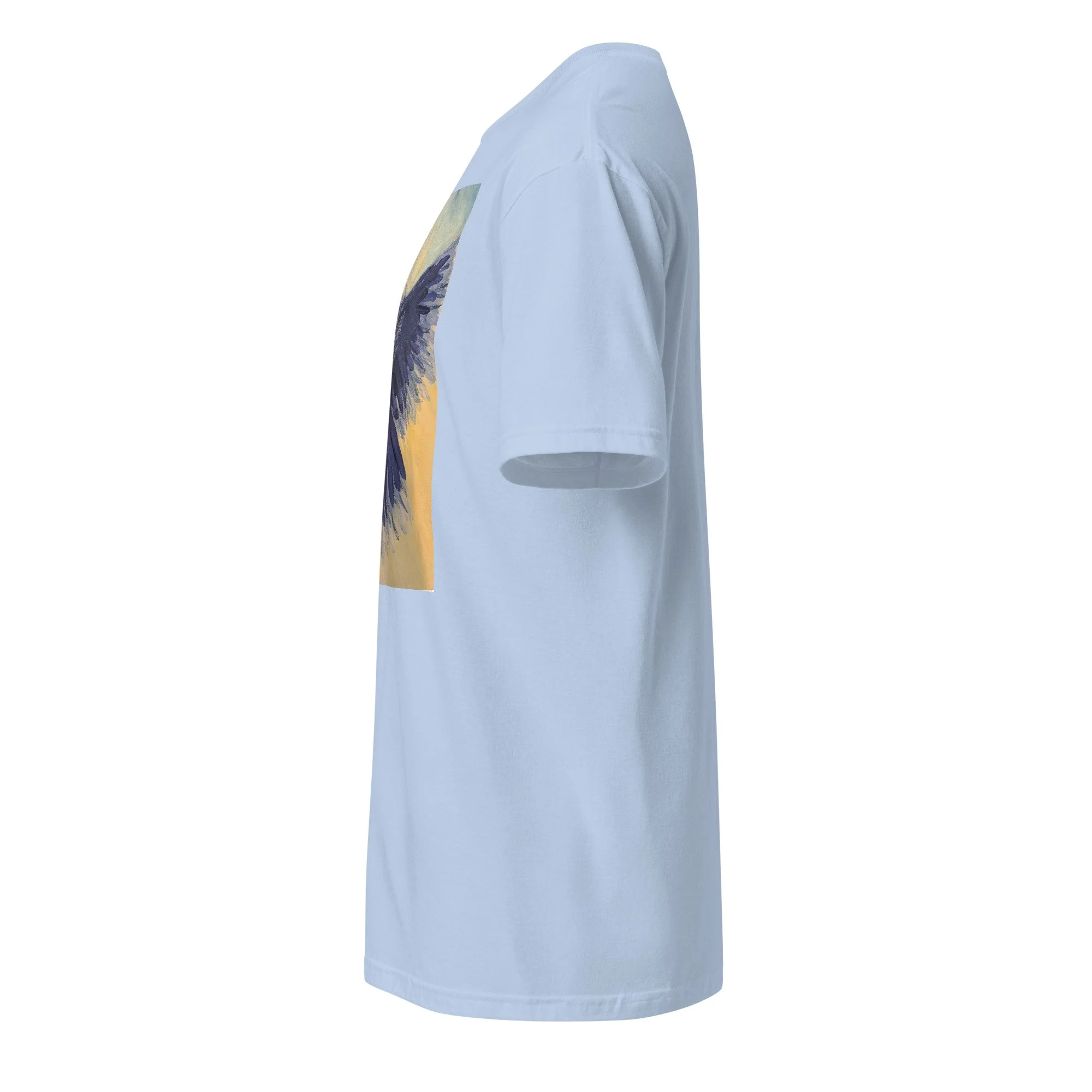 unisex-basic-softstyle-t-shirt-light-blue-left-6ac2b33462dcc.jpg