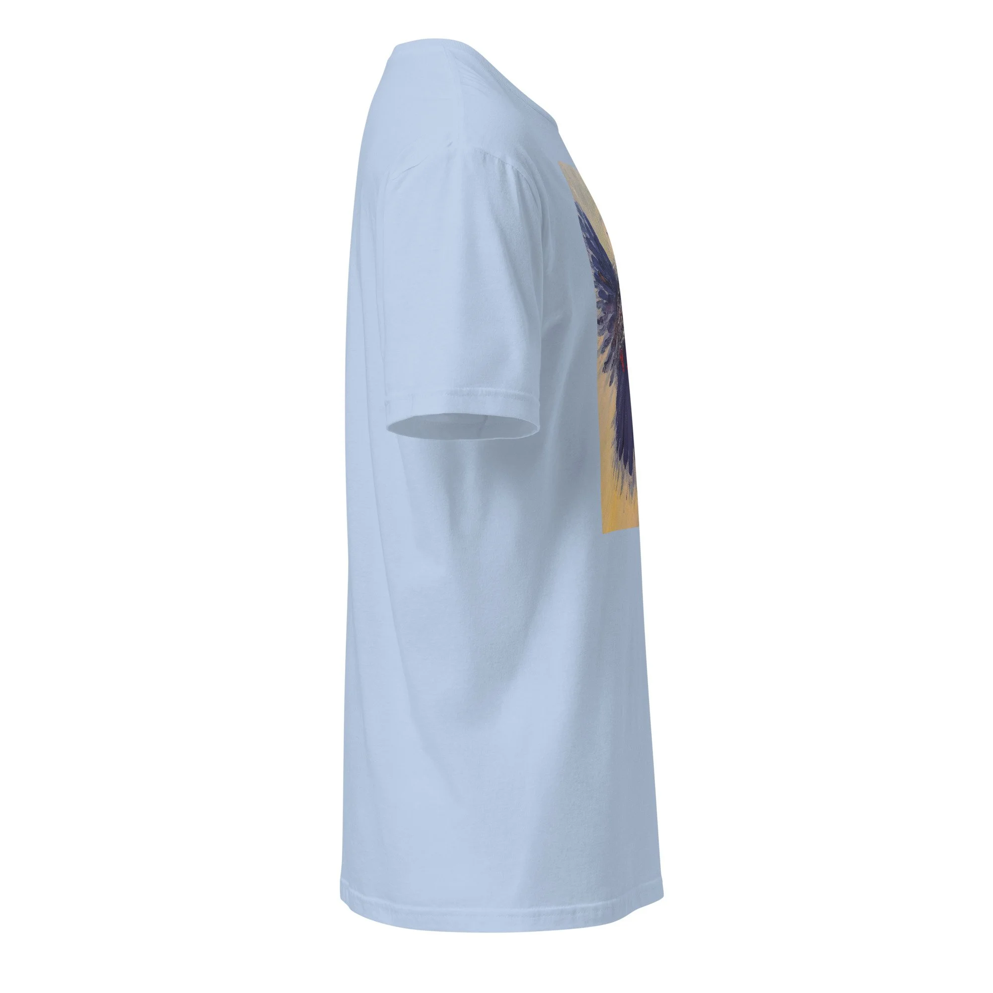 unisex-basic-softstyle-t-shirt-light-blue-right-6ac2b33463557.jpg