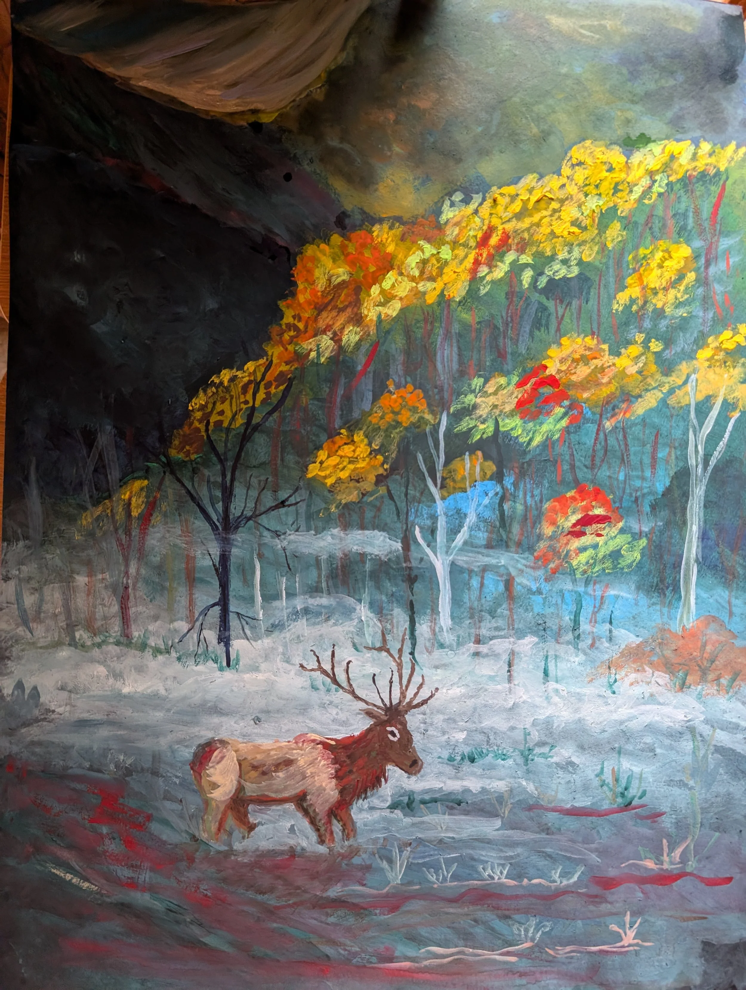 Cataloochi Valley Elk