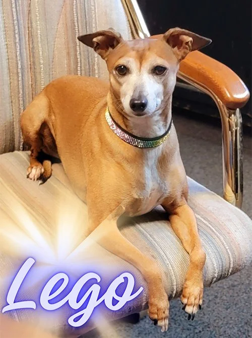 Lego Website Pic.jpg