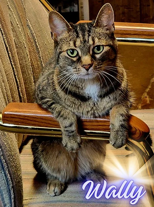 Wally Website Pic.jpg