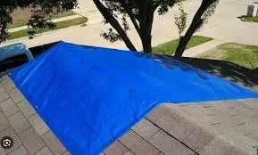 Blue tarp covering a roof section near a tree in a residential neighborhood