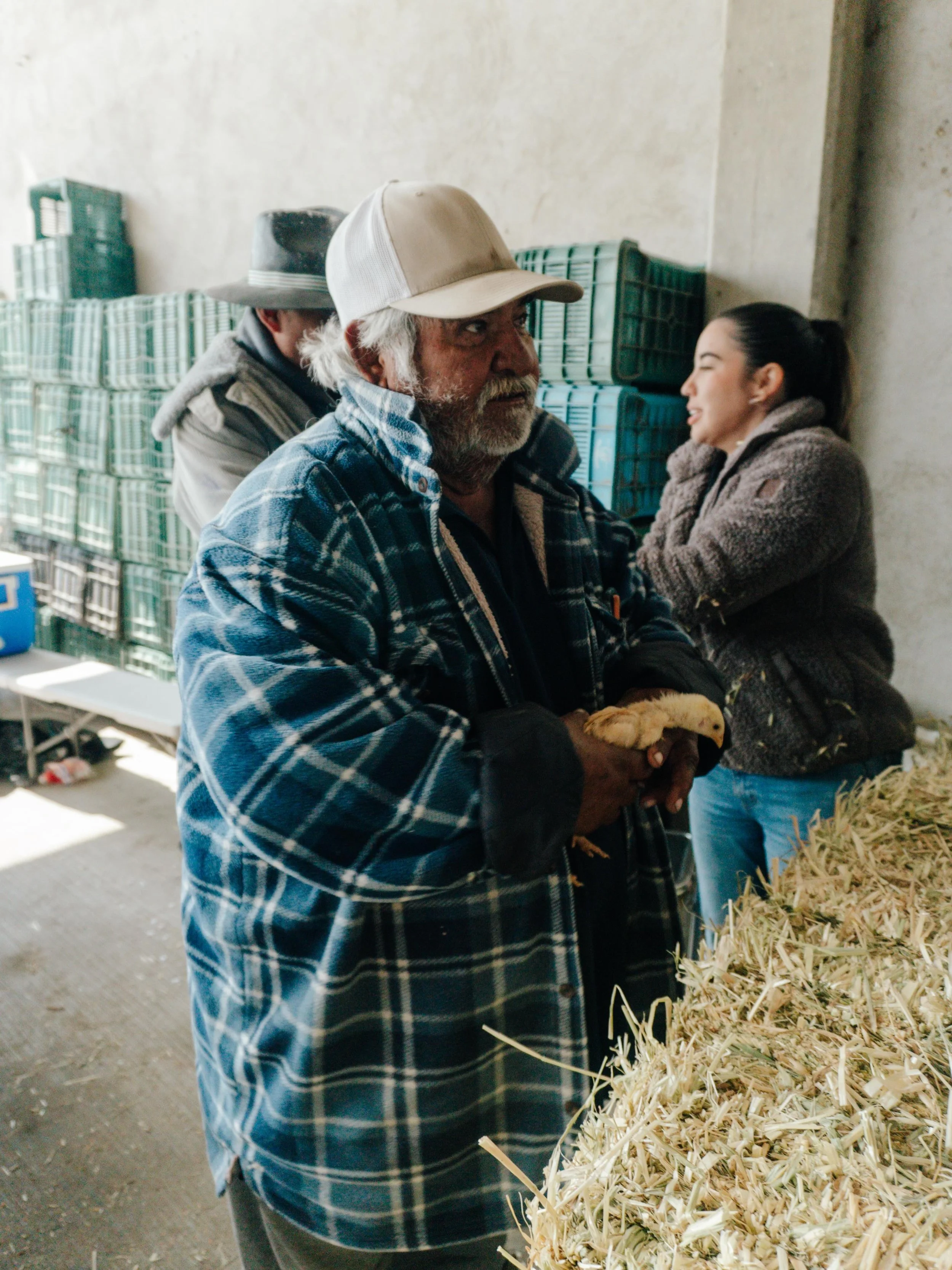 🐔🌱 Apostamos por iniciativas que generen bienestar, empleo y cuidado del entorno. El cambio empieza desde lo local. ✨
 #ImpactoSocial #EconomiaCircular #DesarrolloSostenible #Sustentabilidad