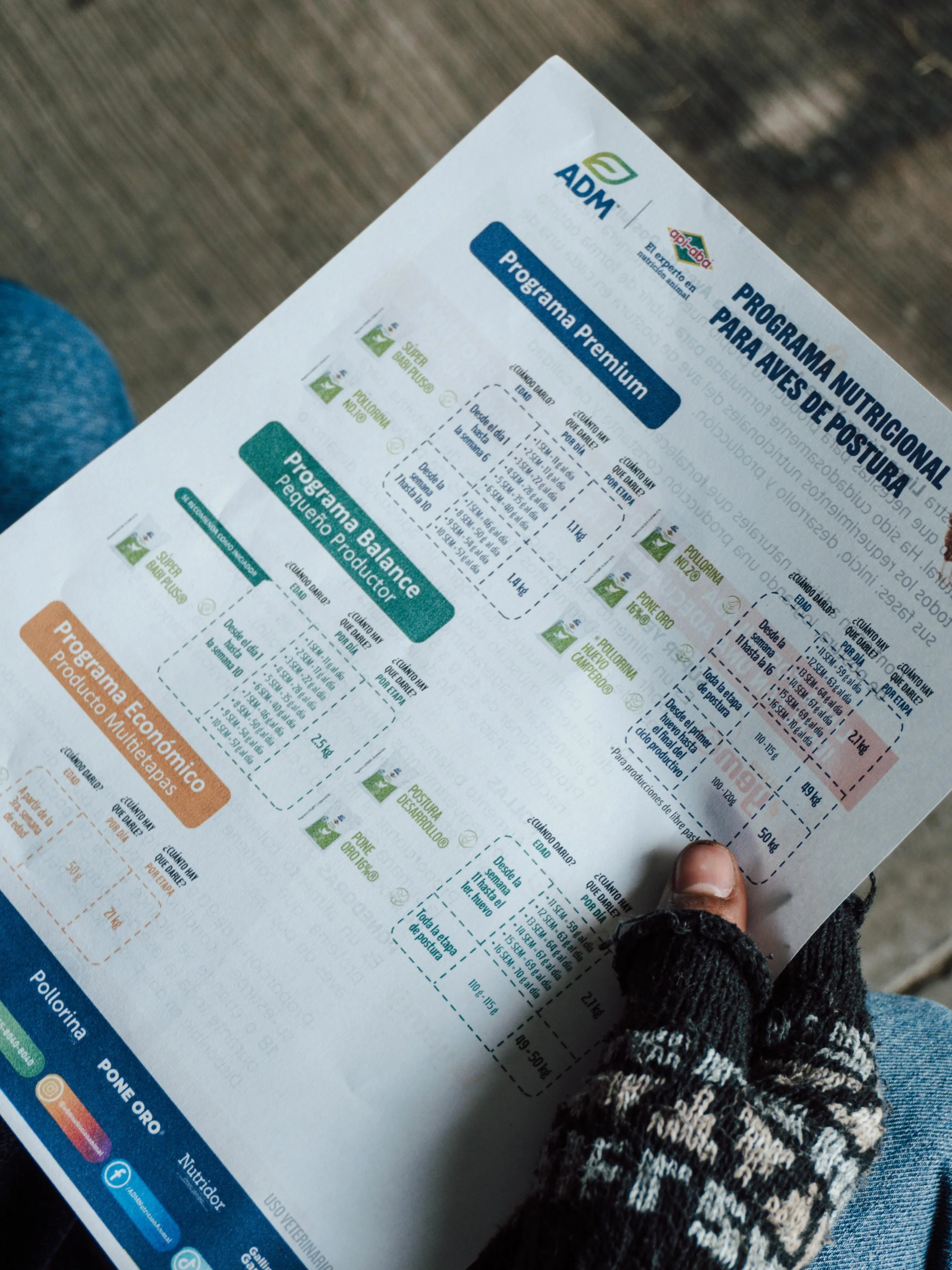 🐓✨ Peque&ntilde;as acciones generan grandes cambios. Impulsar proyectos productivos sostenibles ayuda a crear oportunidades reales para las familias. 🌎
 #Sostenibilidad #ImpactoPositivo #EconomiaCircular #Agenda2030