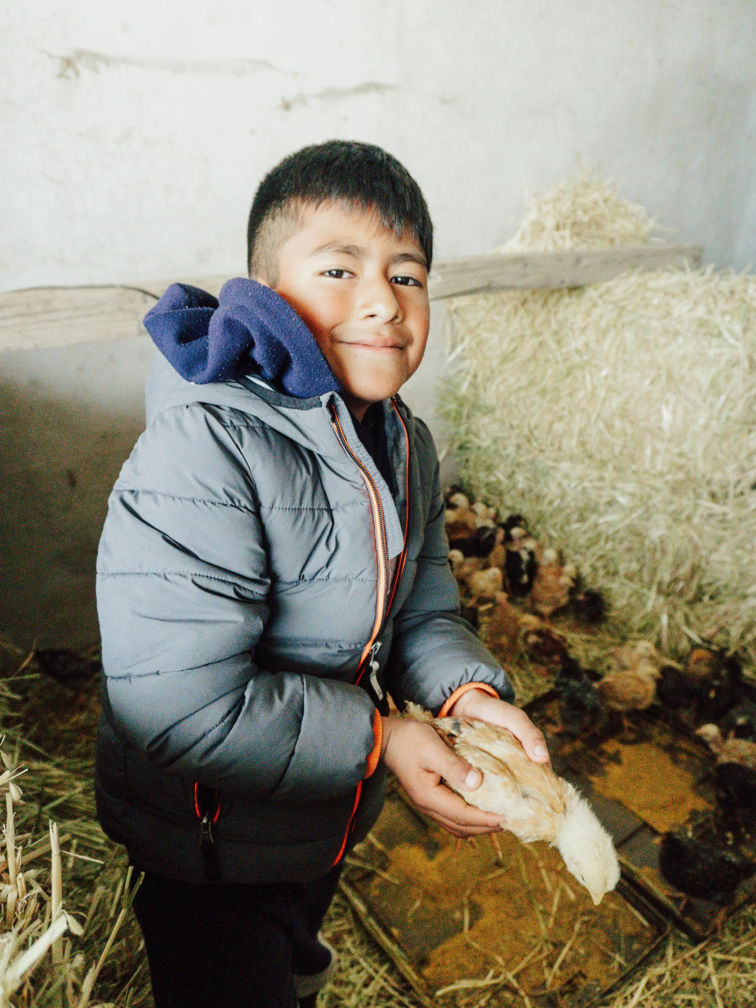 🐓🌱 La sostenibilidad no solo se habla, tambi&eacute;n se construye desde proyectos reales que generan alimento y oportunidades. 🤝
 #Sostenibilidad #EconomiaCircular #CambioPositivo #Comunidad