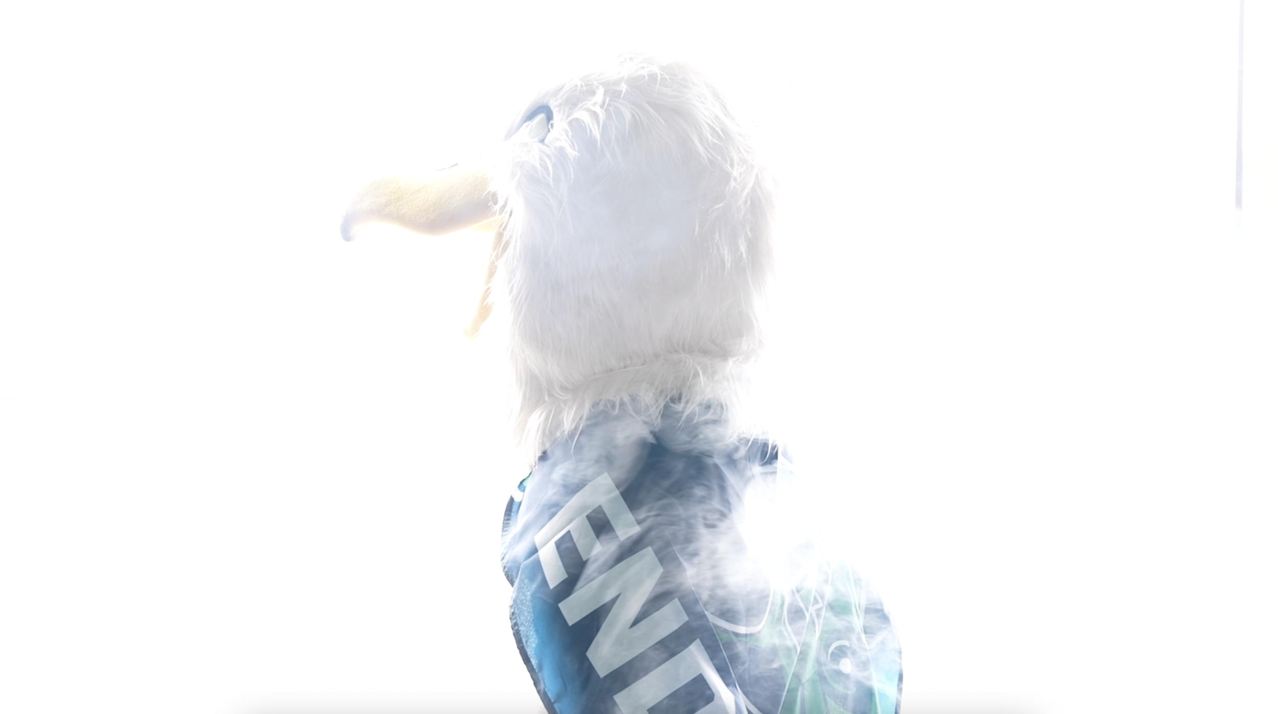 A smoky image of Gully the mascot